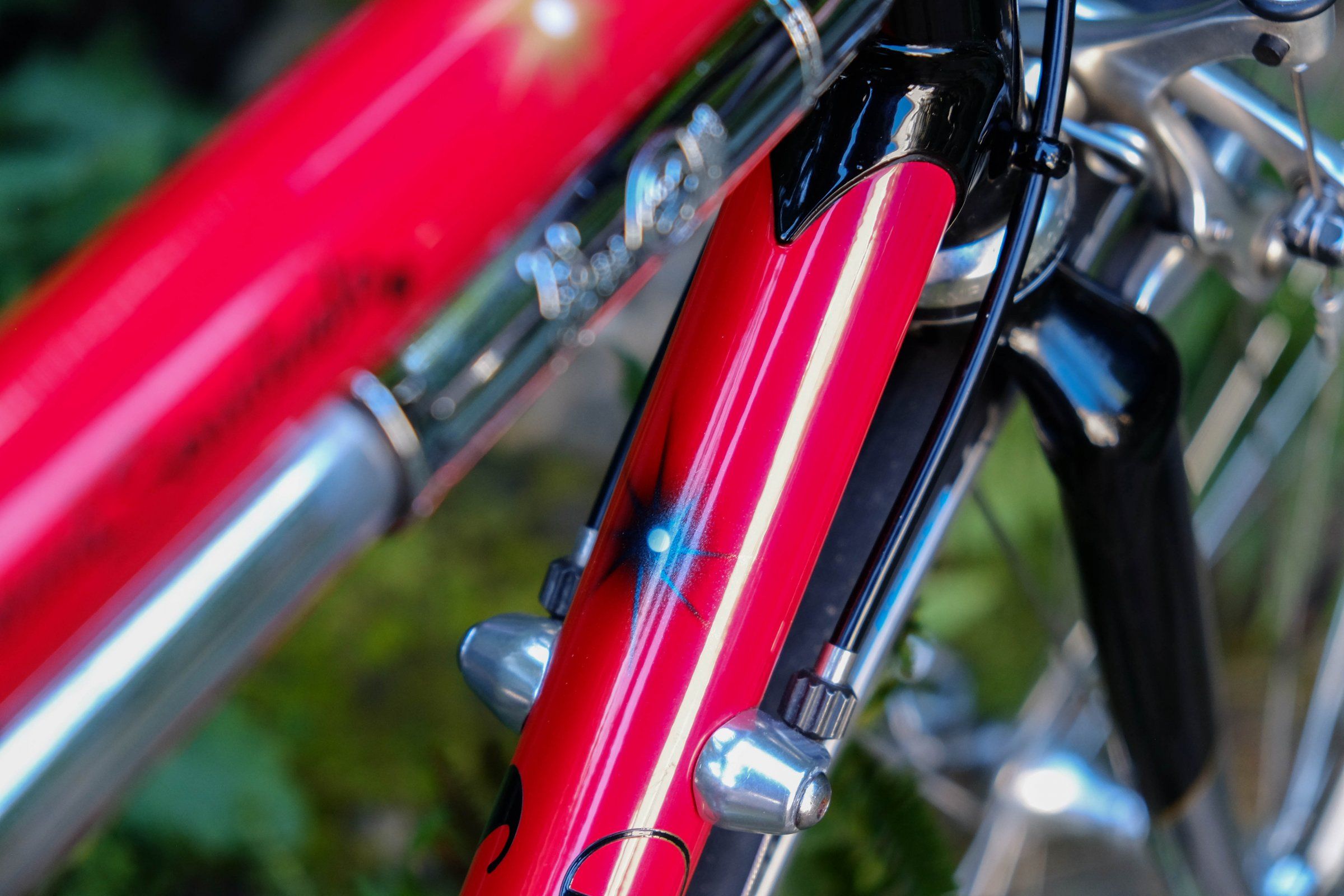 DSCF6387.jpg