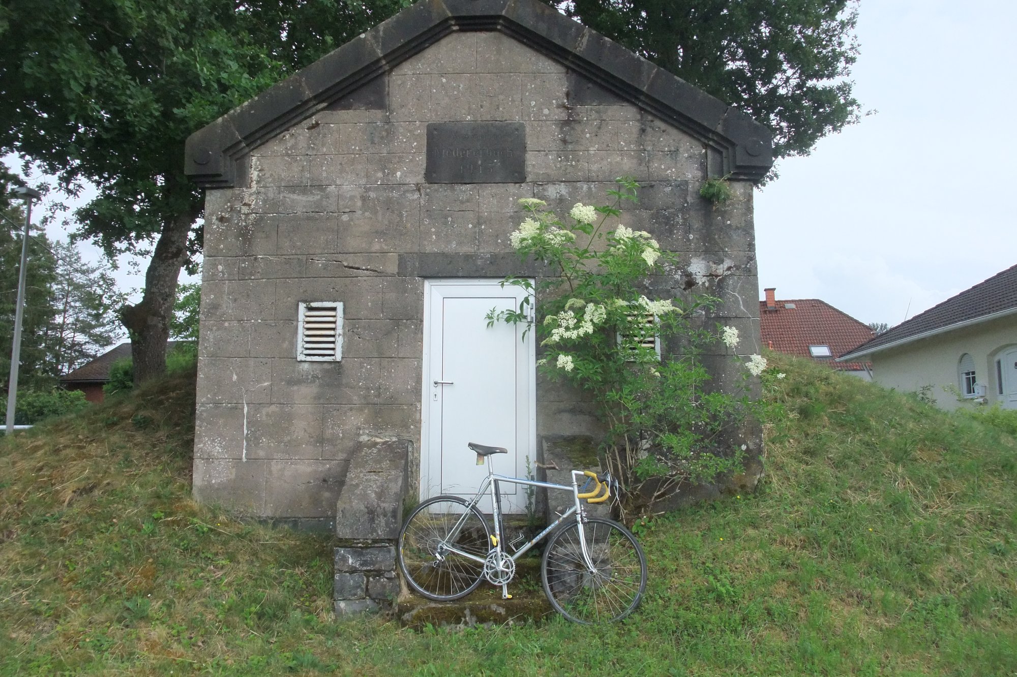 DSCF6510.JPG