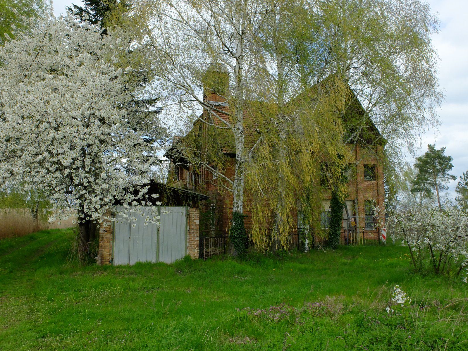 DSCF6656.JPG