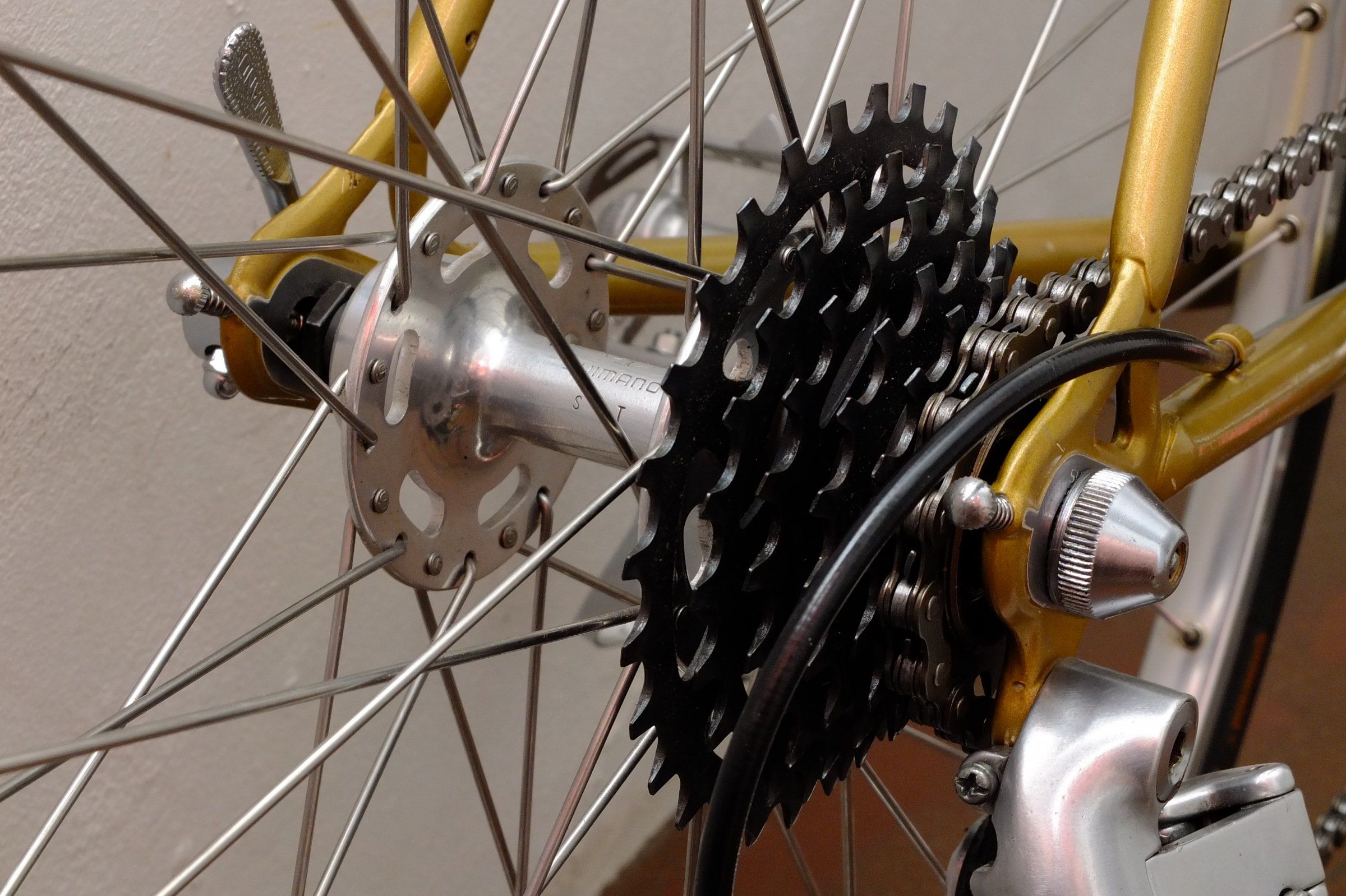 DSCF6800.JPG