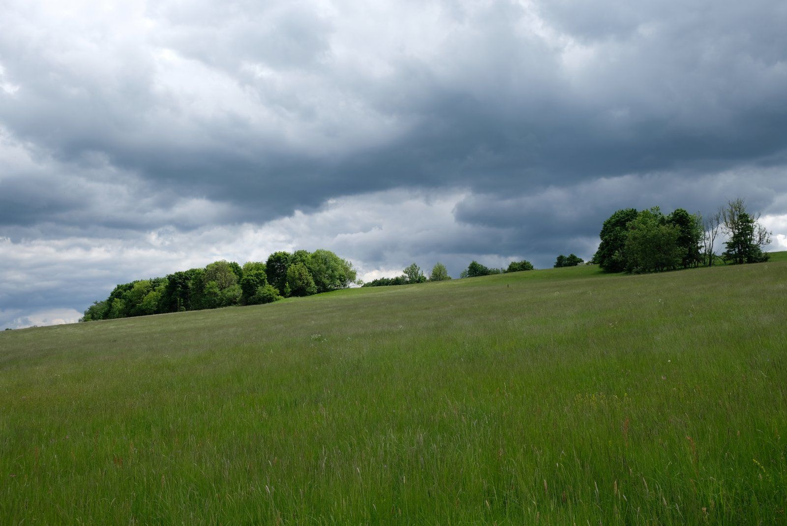 DSCF6804.JPG