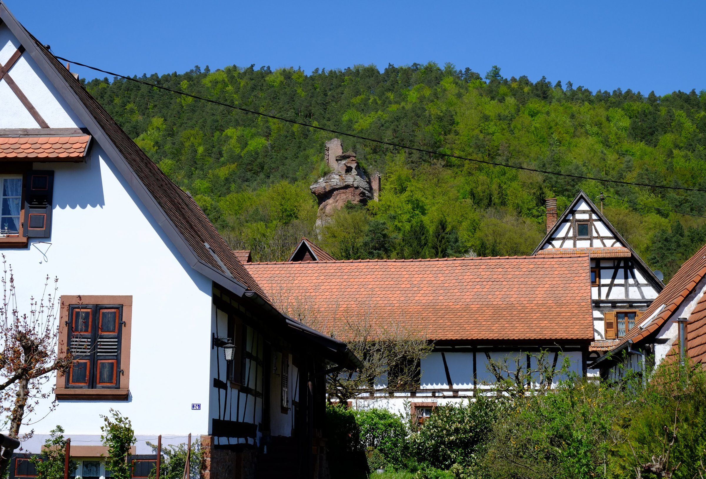 DSCF6944.JPG