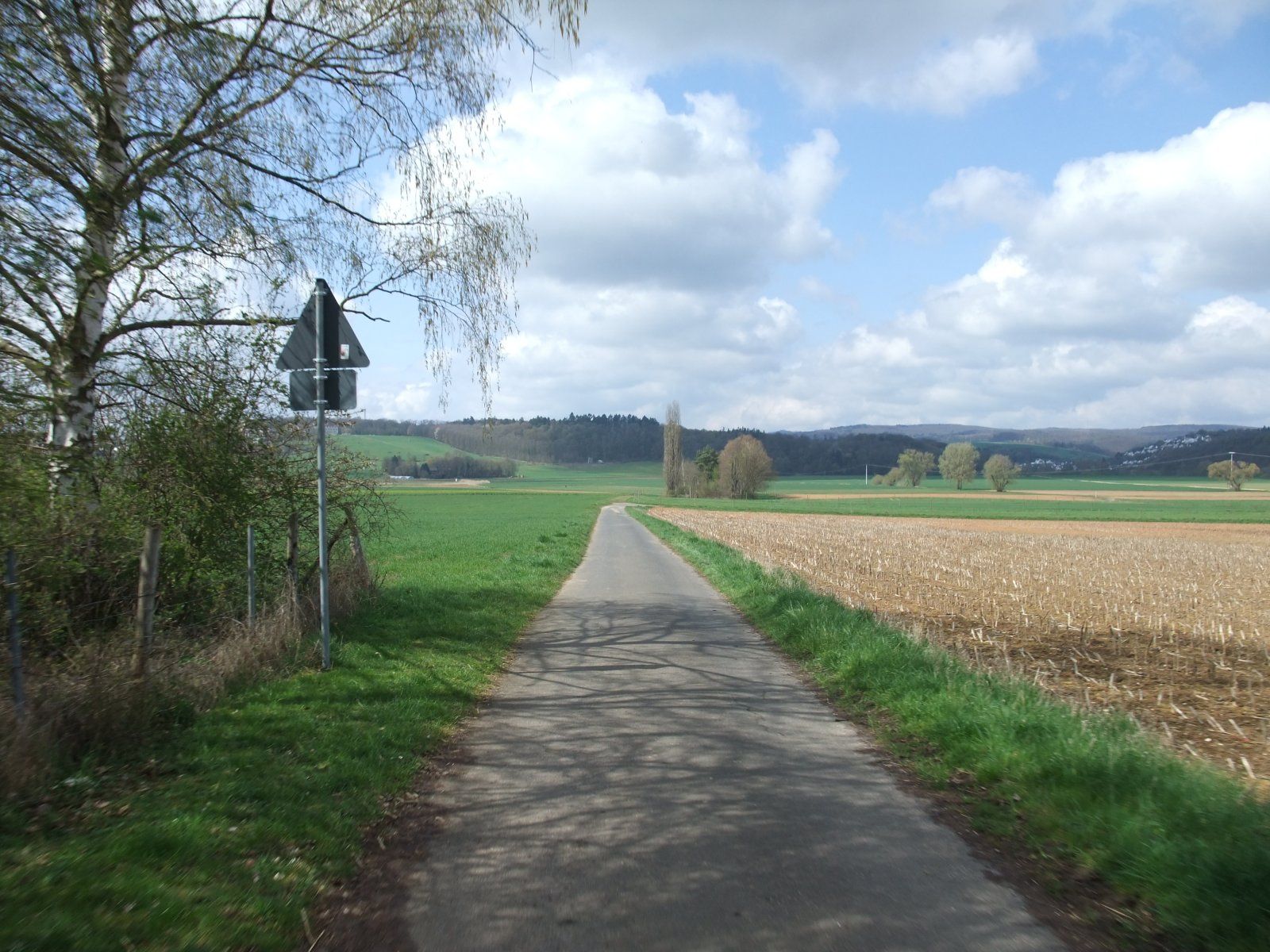 DSCF6987.JPG