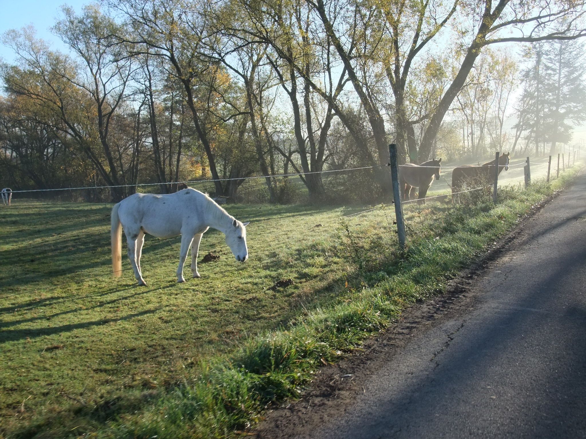 DSCF6989.JPG