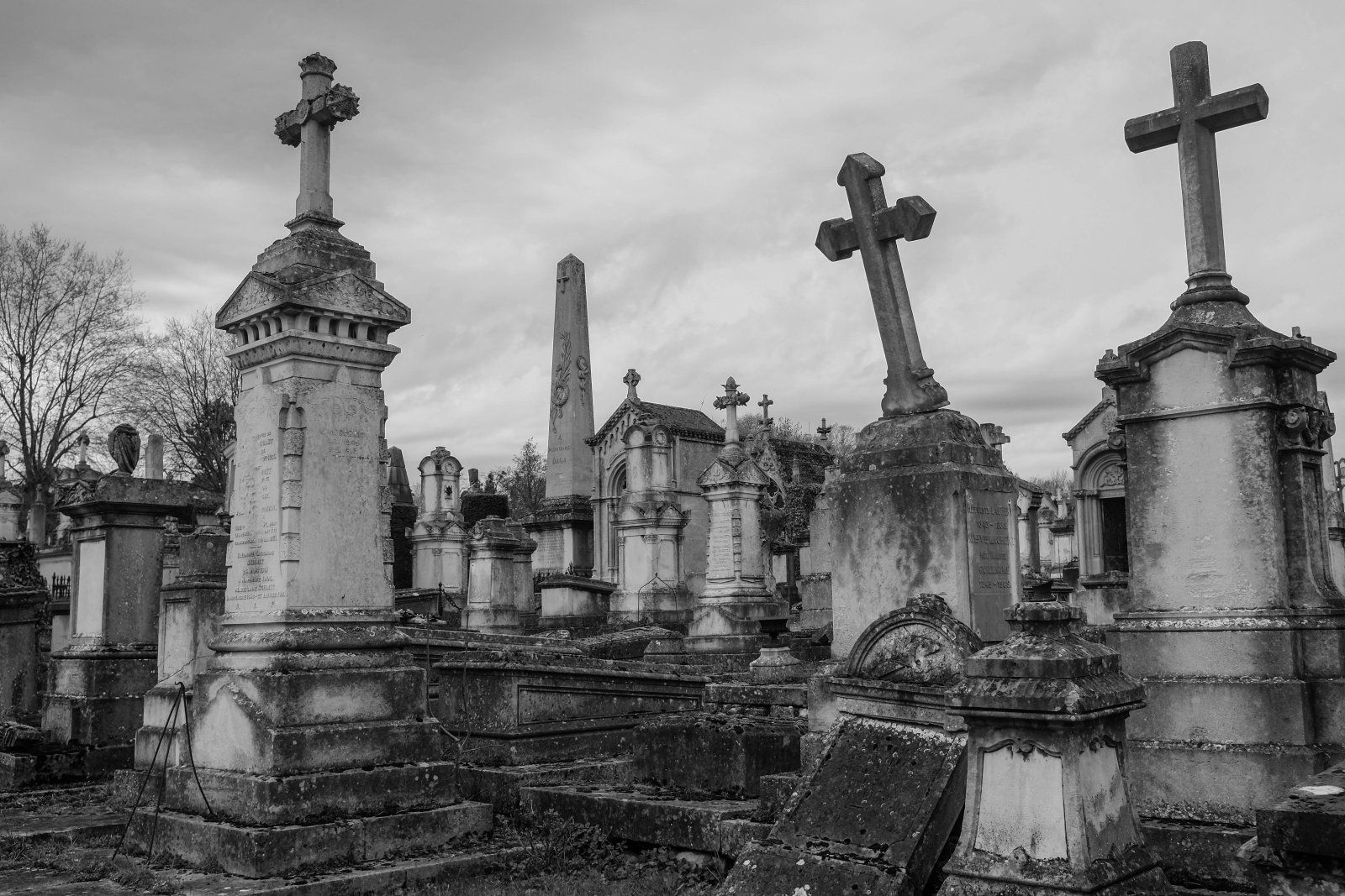DSCF7020.jpg