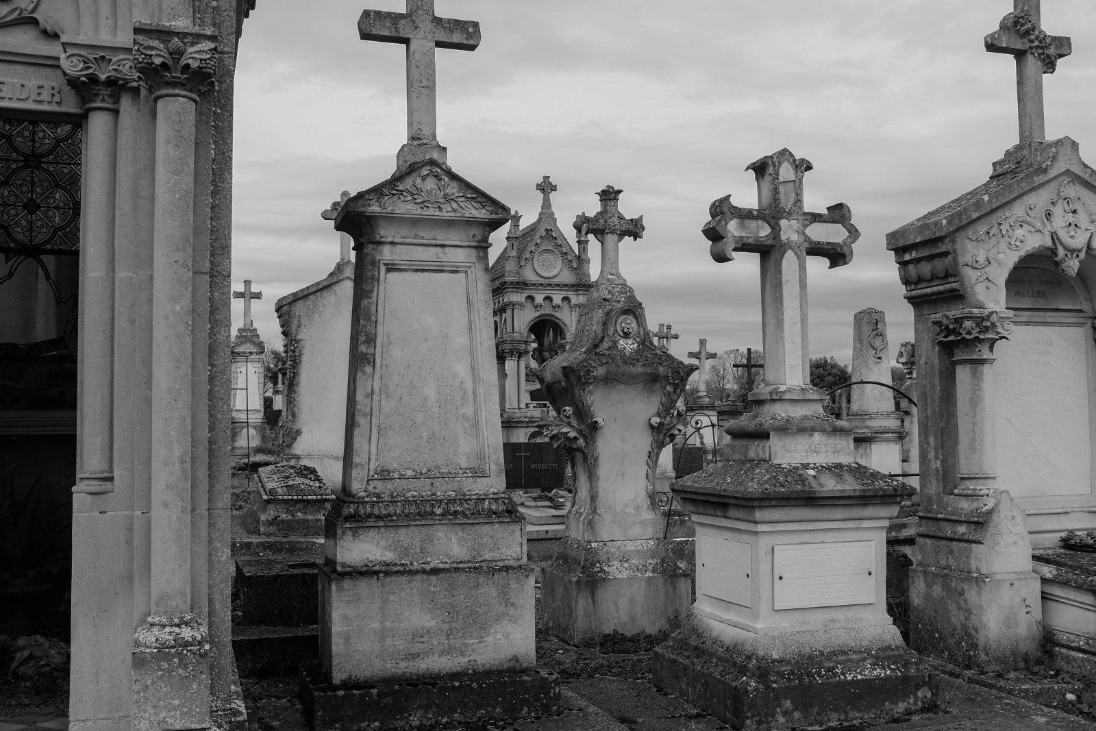 DSCF7021.jpg