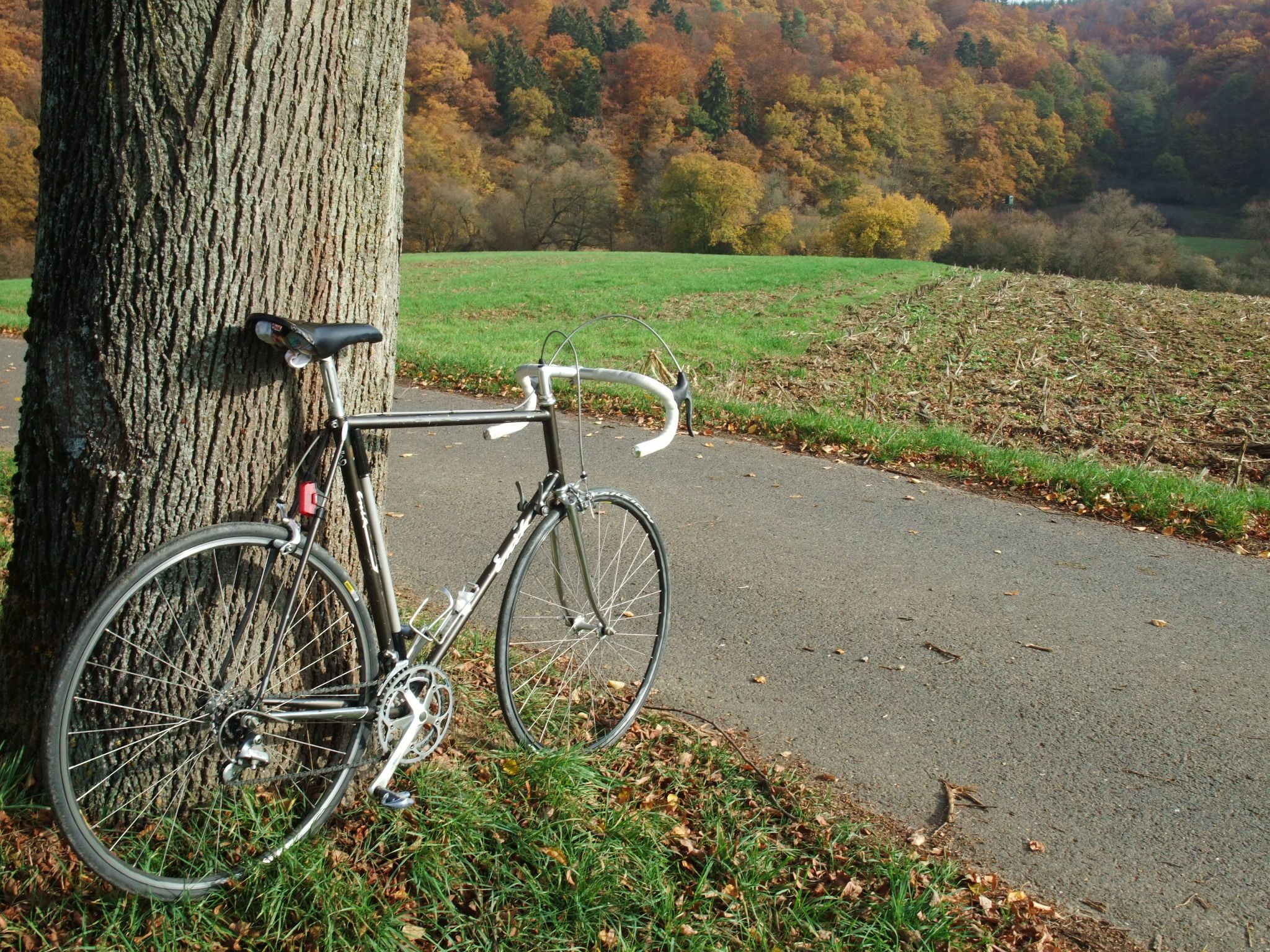DSCF7081.JPG
