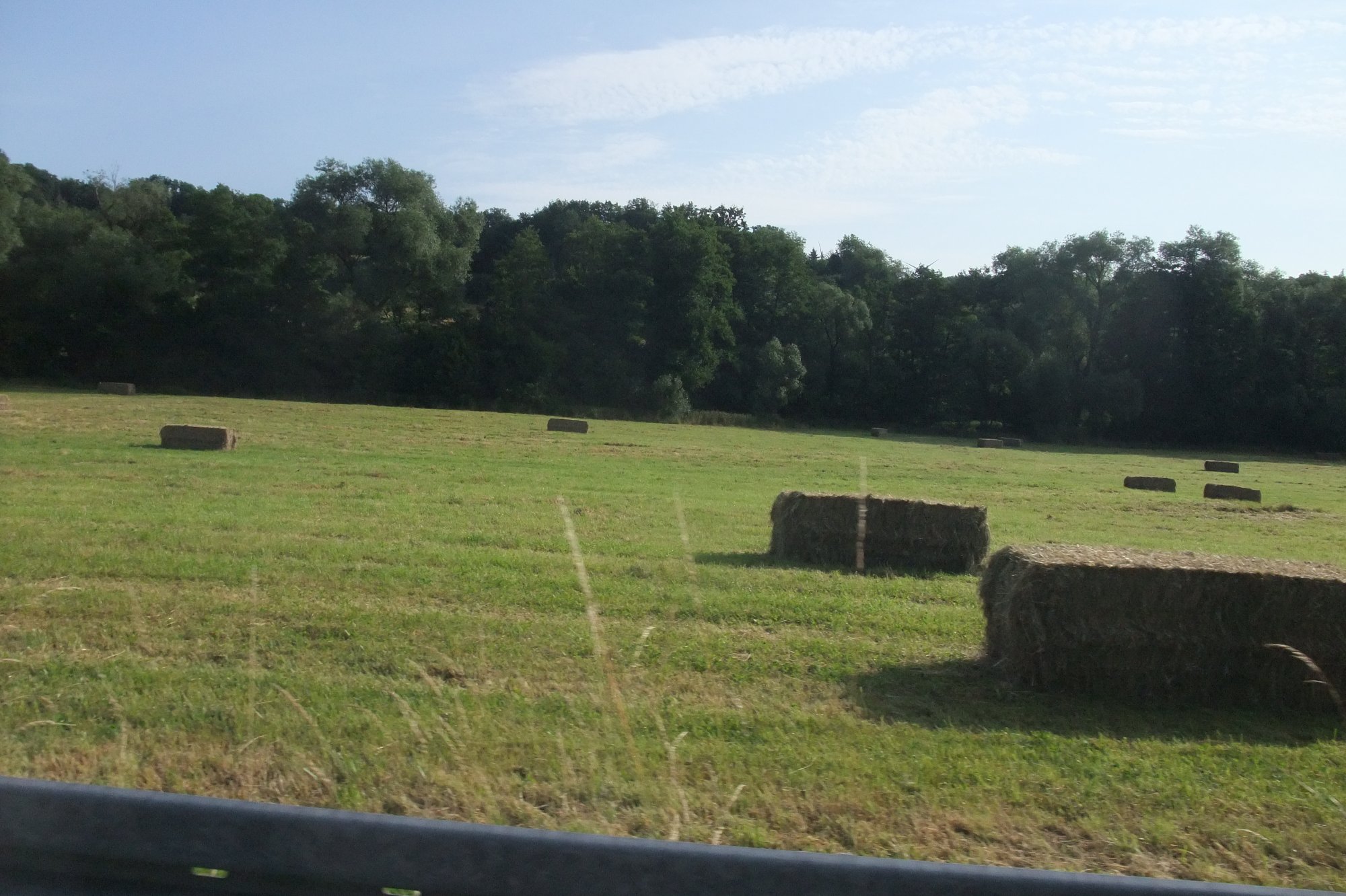 DSCF7106.JPG