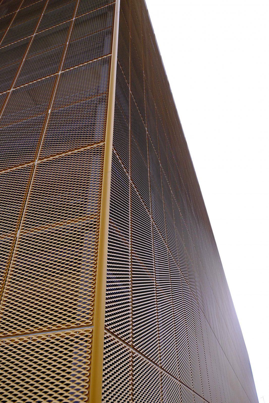 DSCF7107.JPG