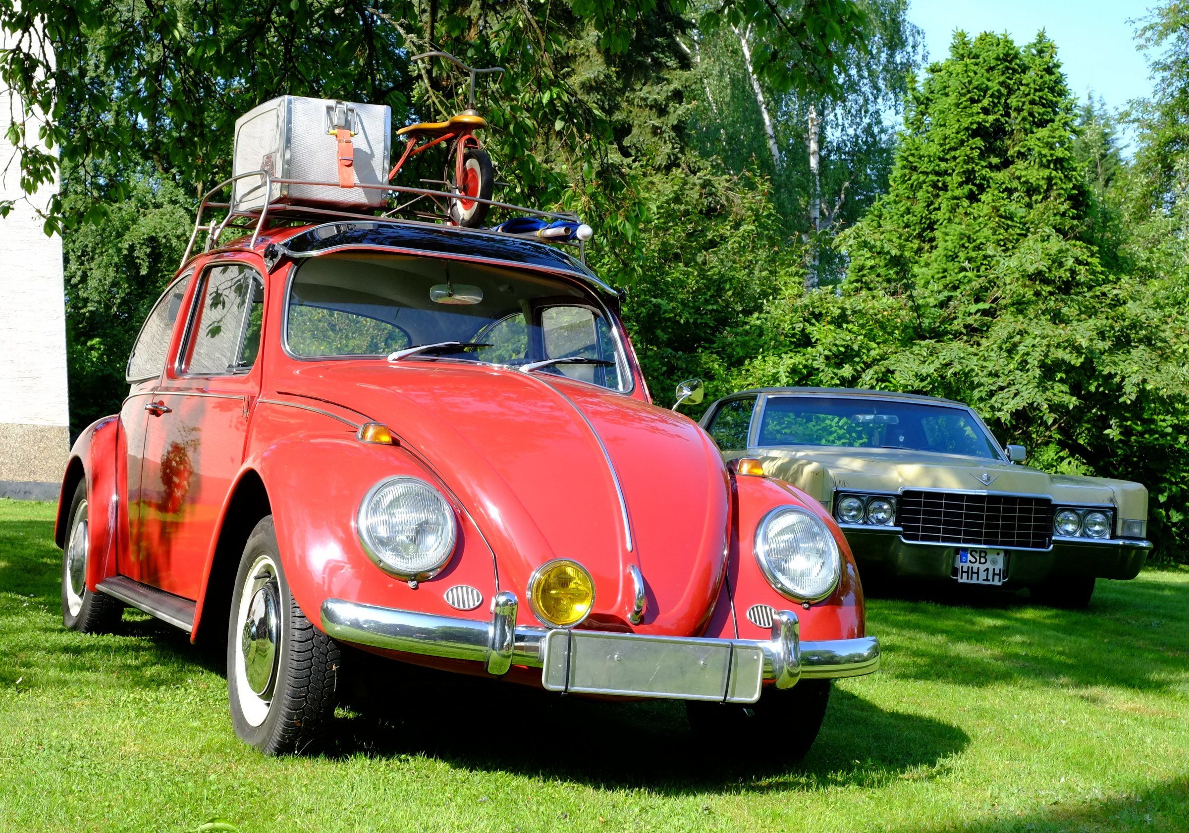 DSCF7118.JPG