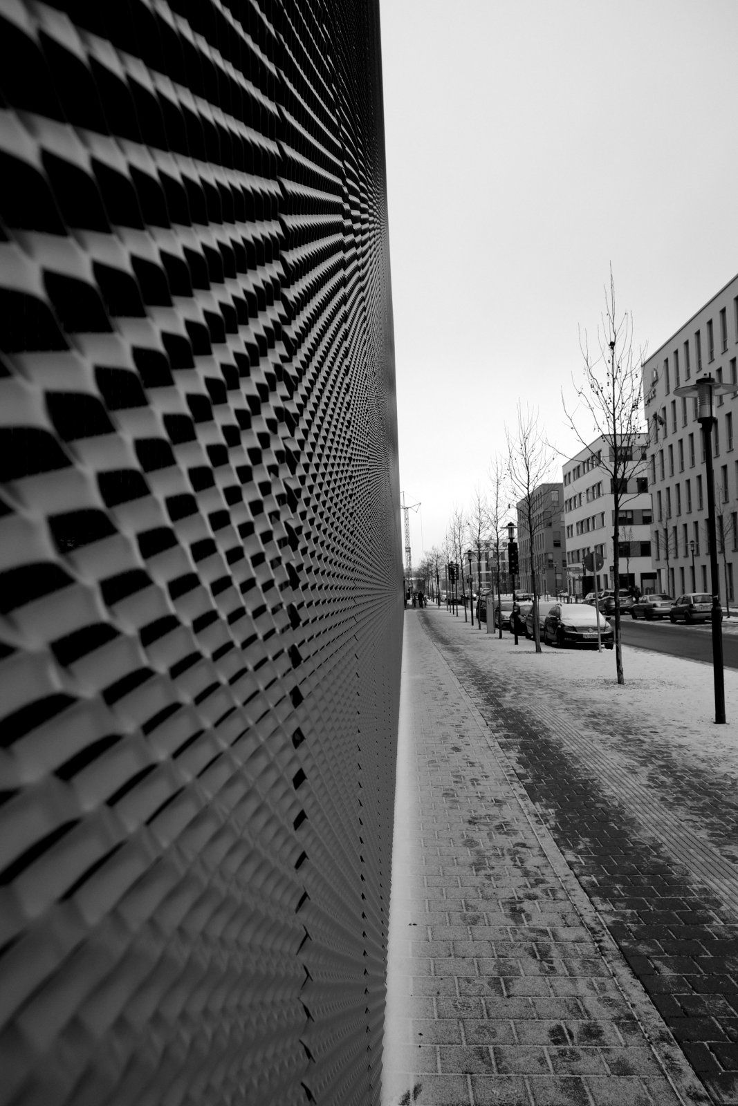 DSCF7119.JPG