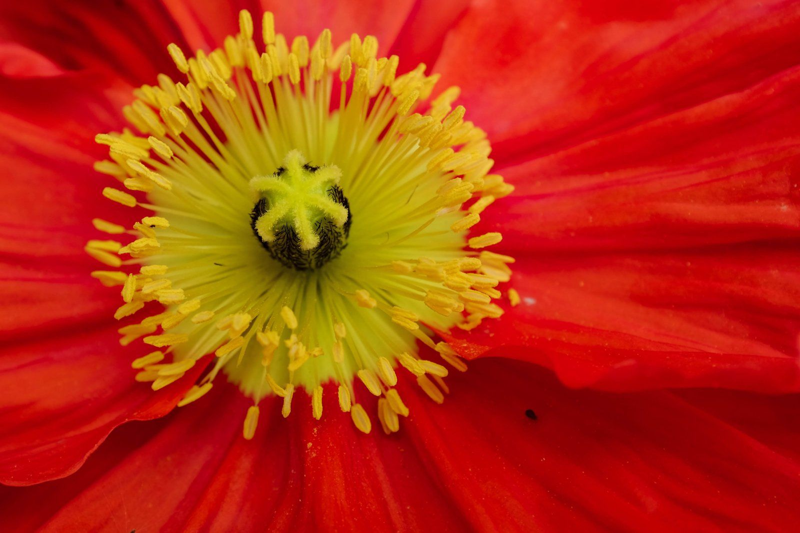 DSCF7161.jpg