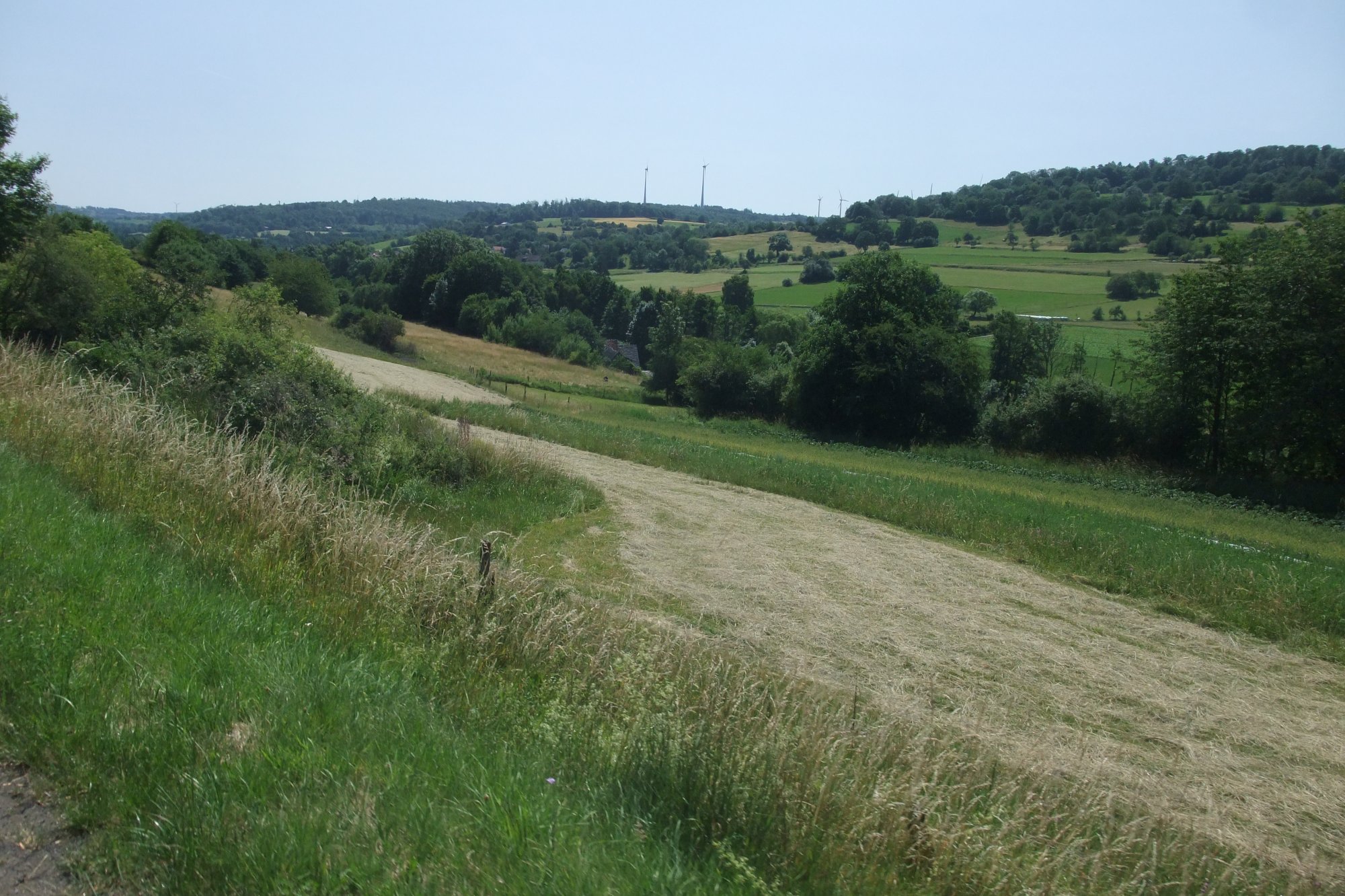 DSCF7166.JPG