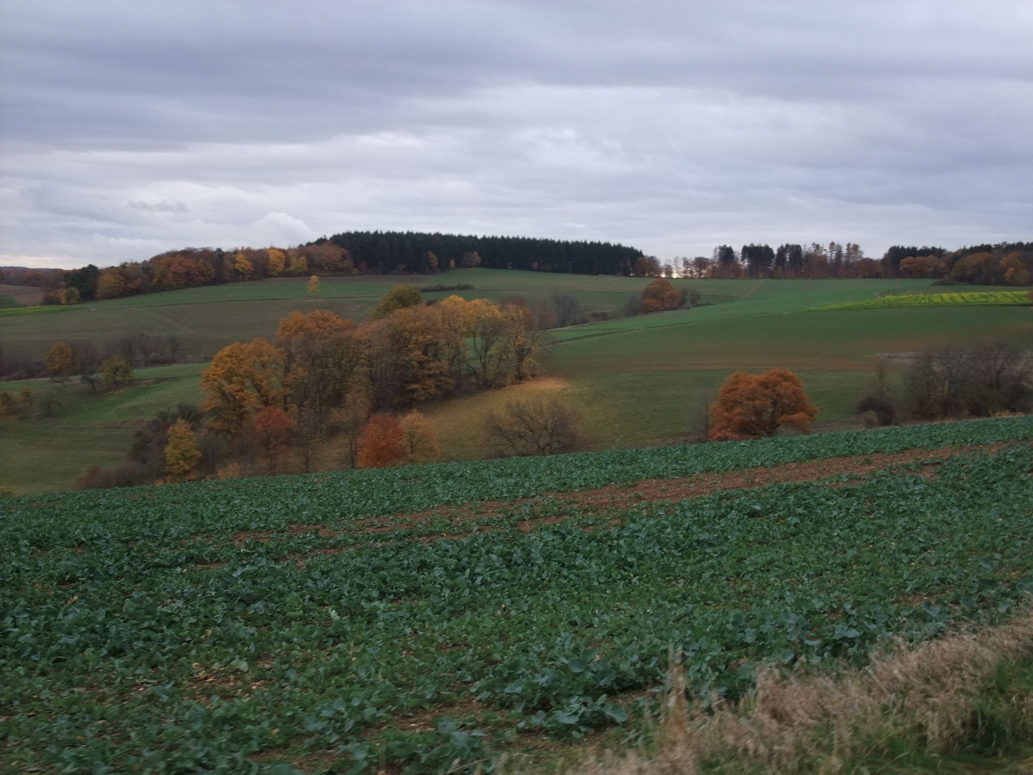 DSCF7177.JPG