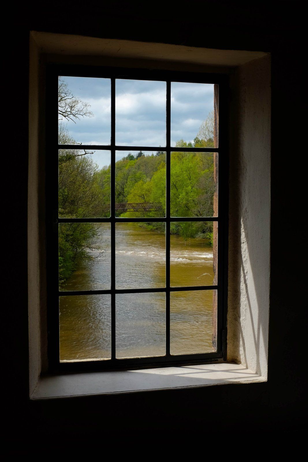 DSCF7203.jpg