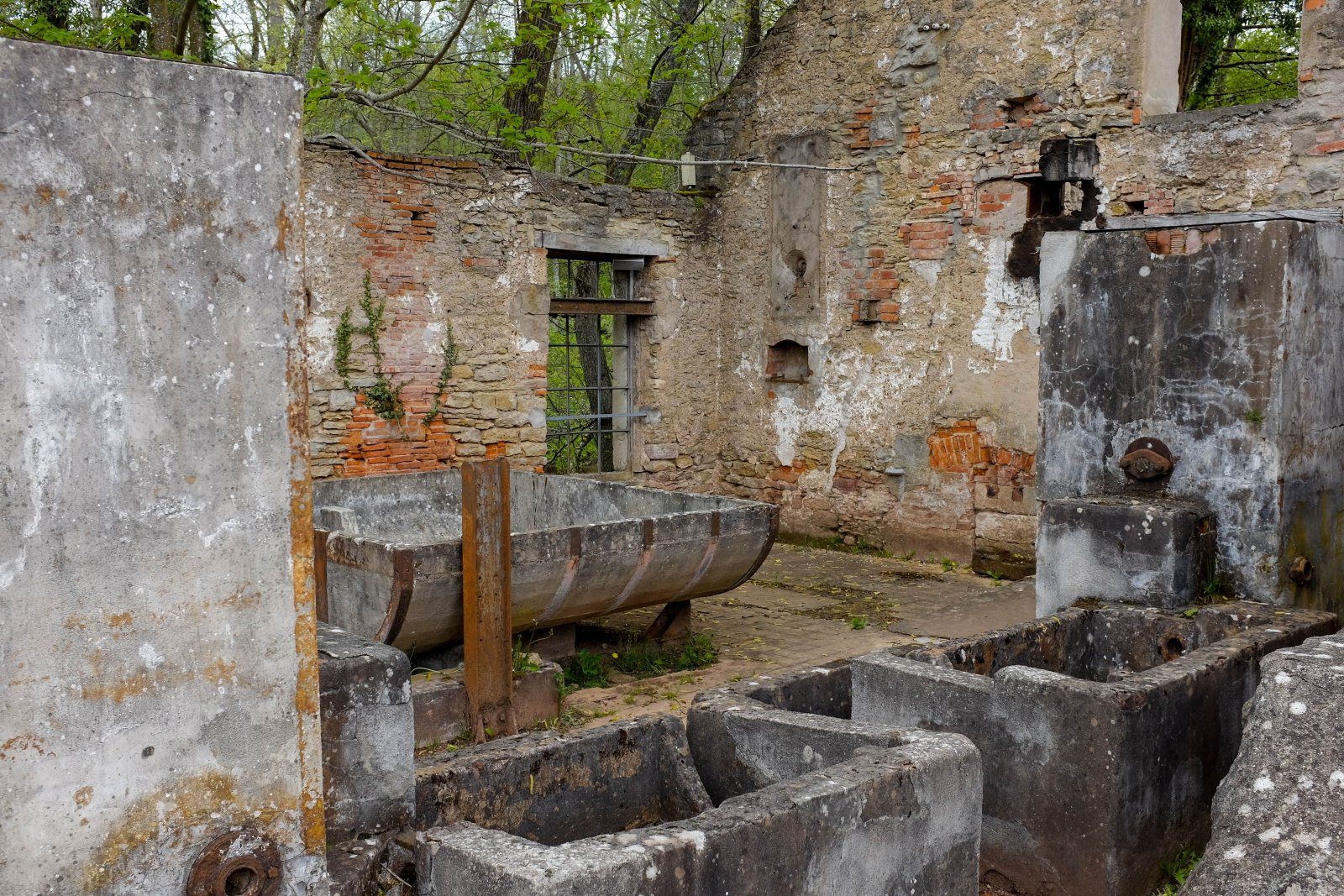 DSCF7212.jpg