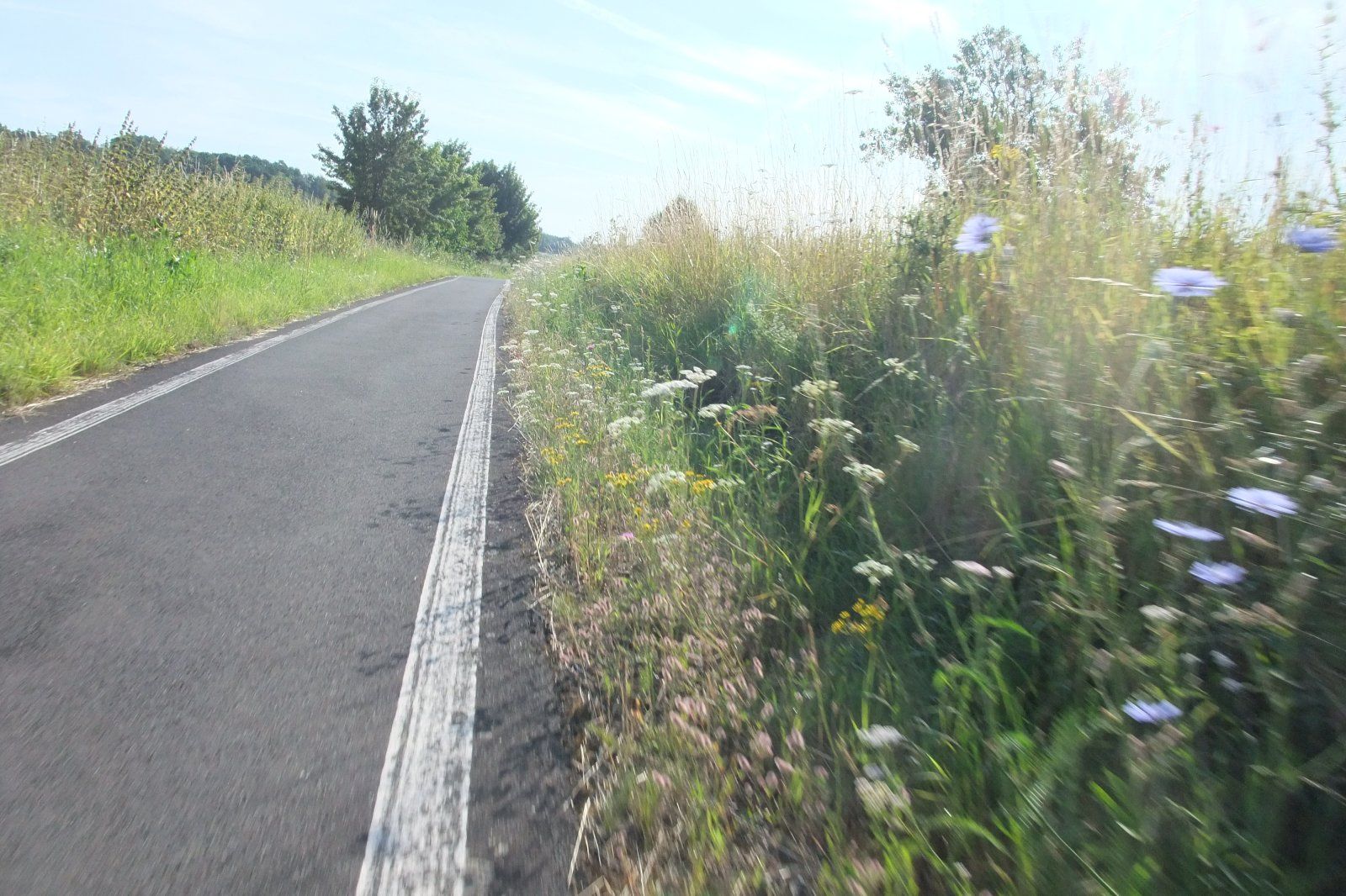 DSCF7246.JPG