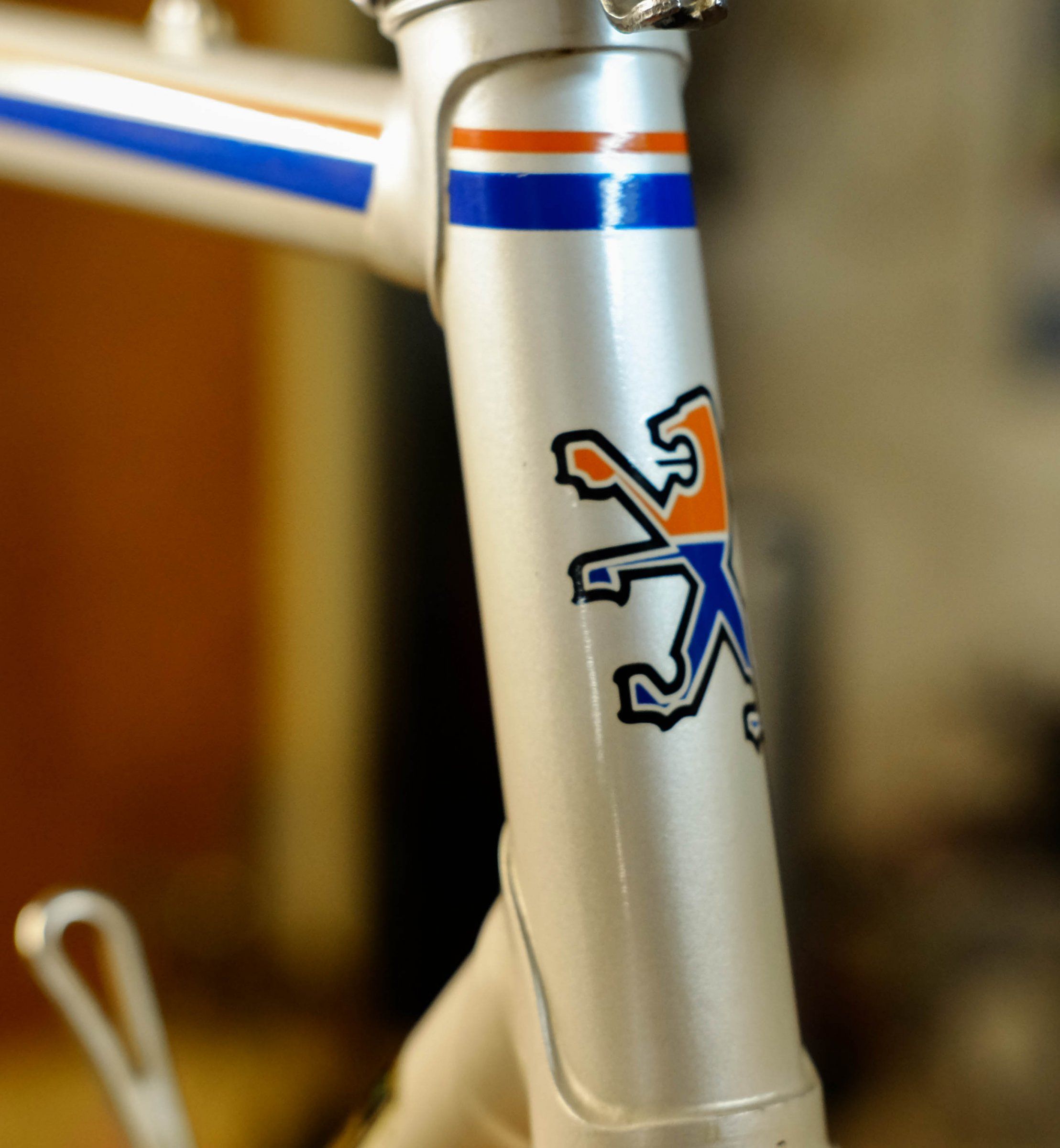 DSCF7250.jpg