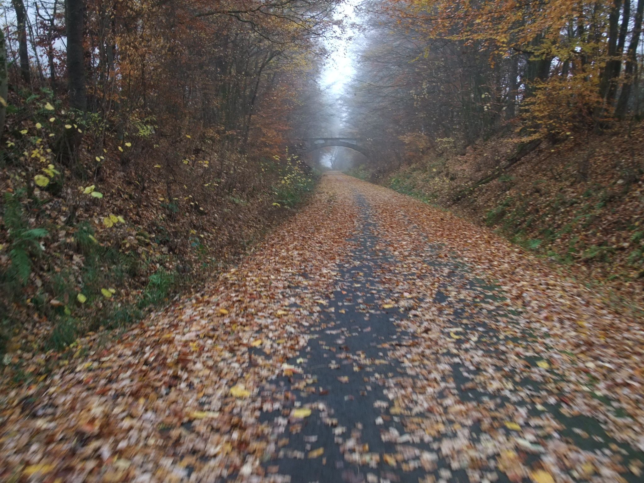 DSCF7290.JPG