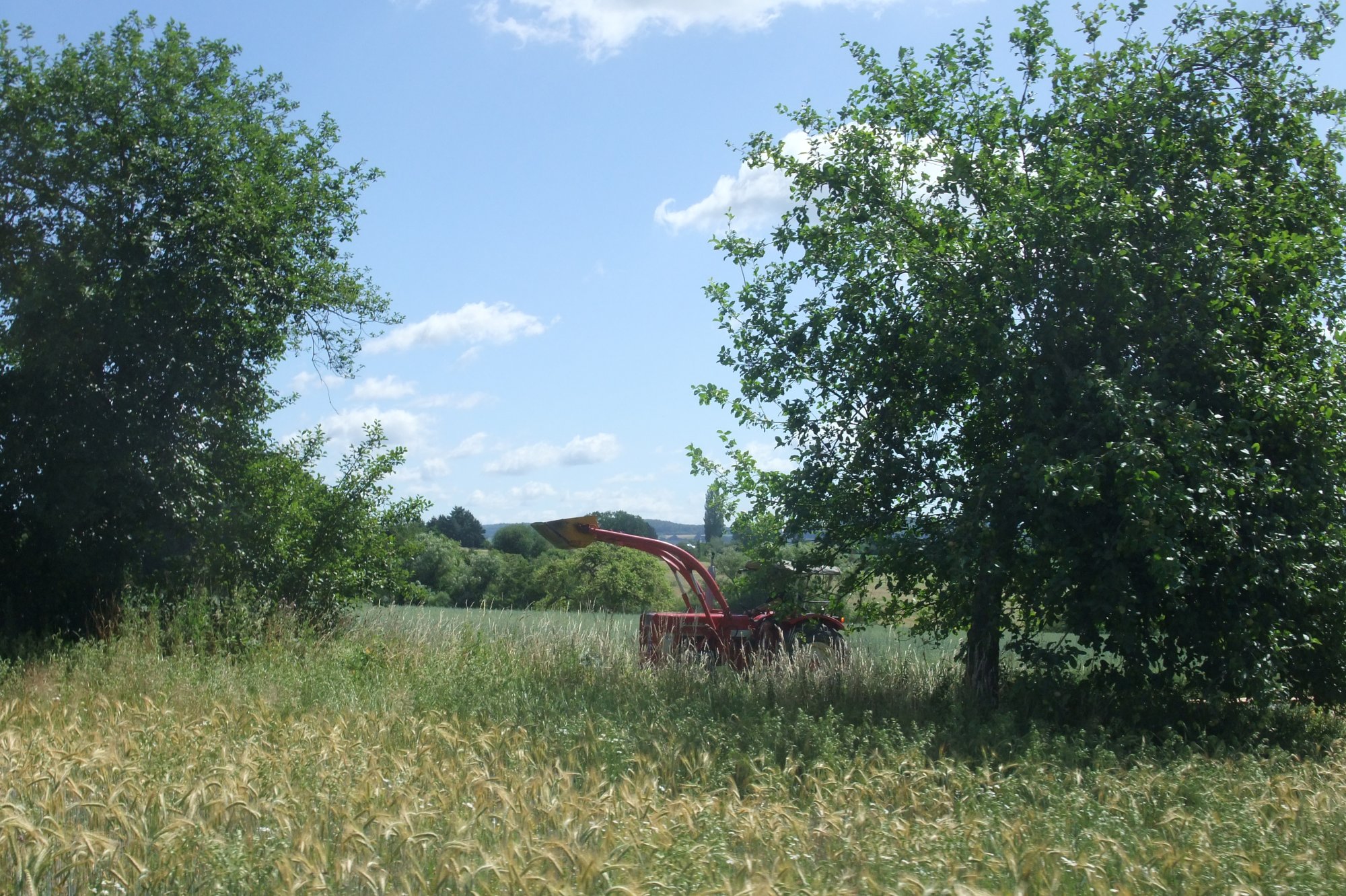 DSCF7293.JPG