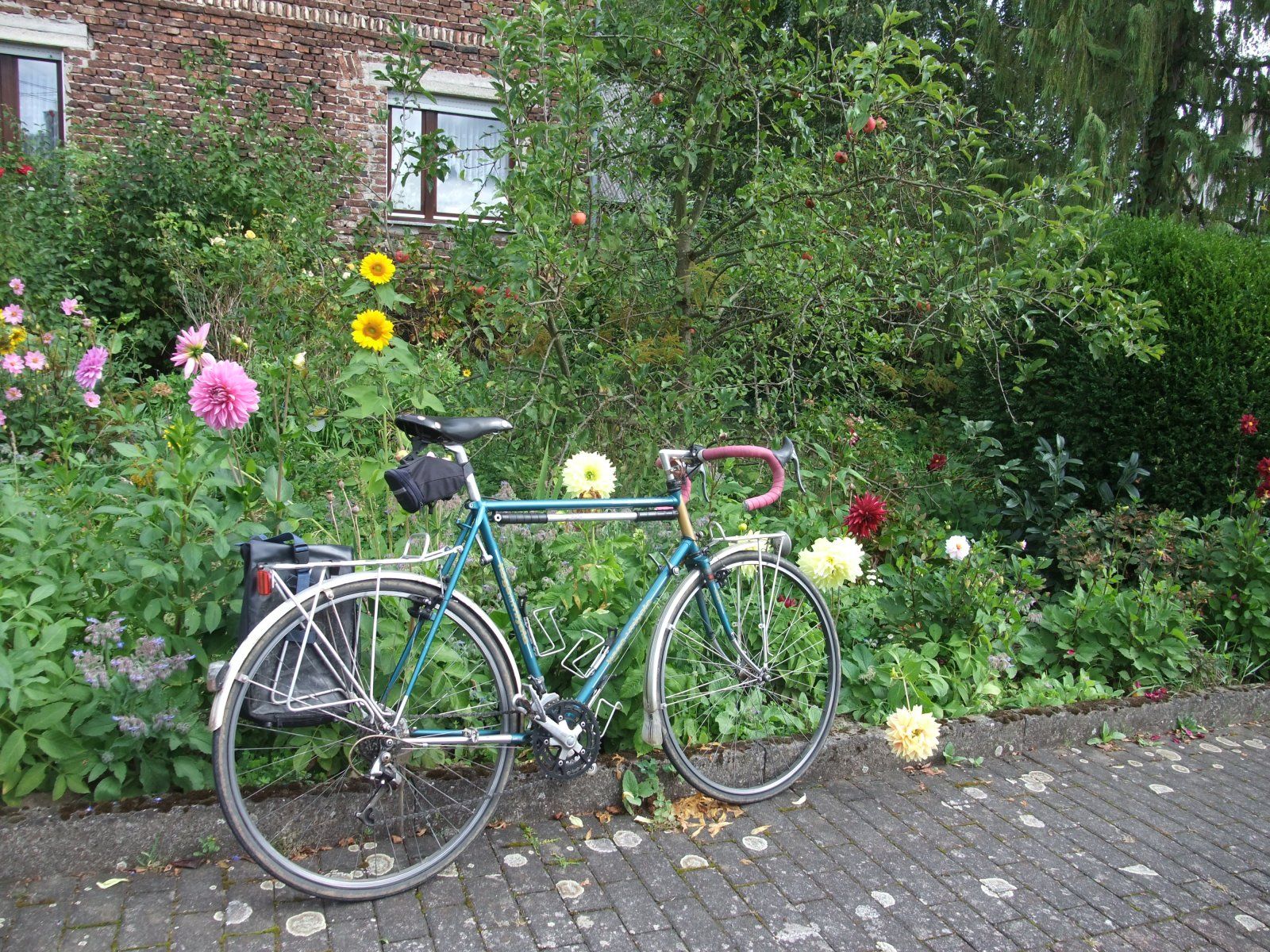 DSCF7304.JPG