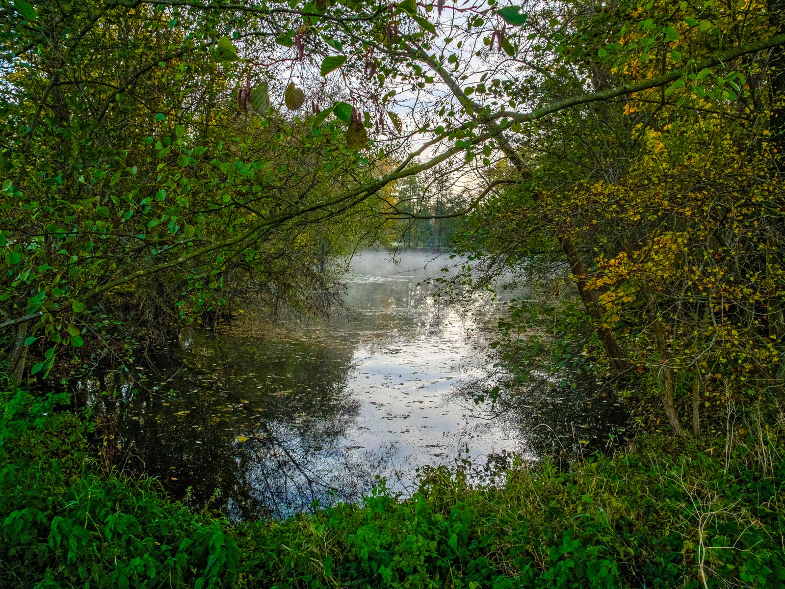 DSCF7308-2 Kopie.jpg