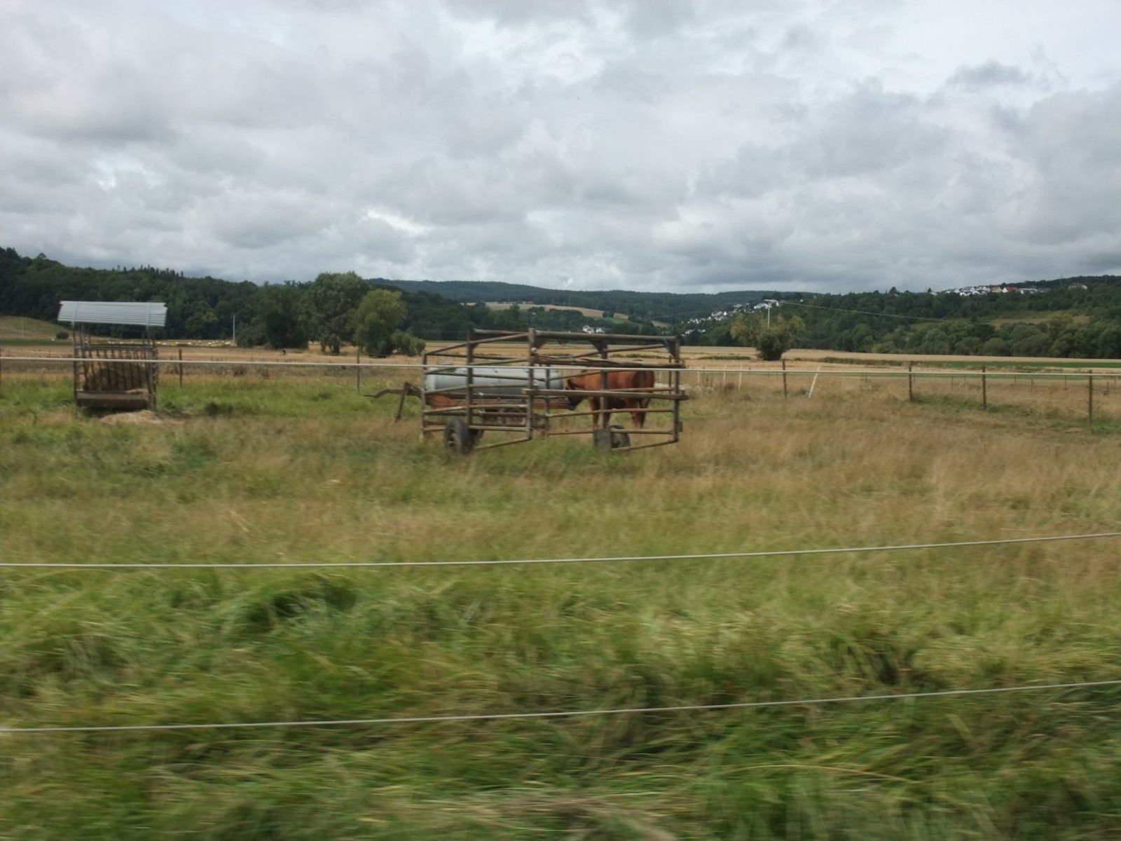 DSCF7312.JPG