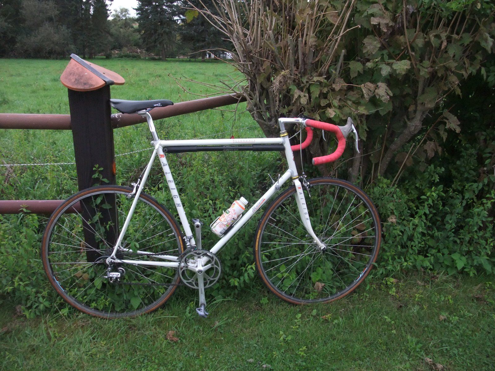 DSCF7317.JPG