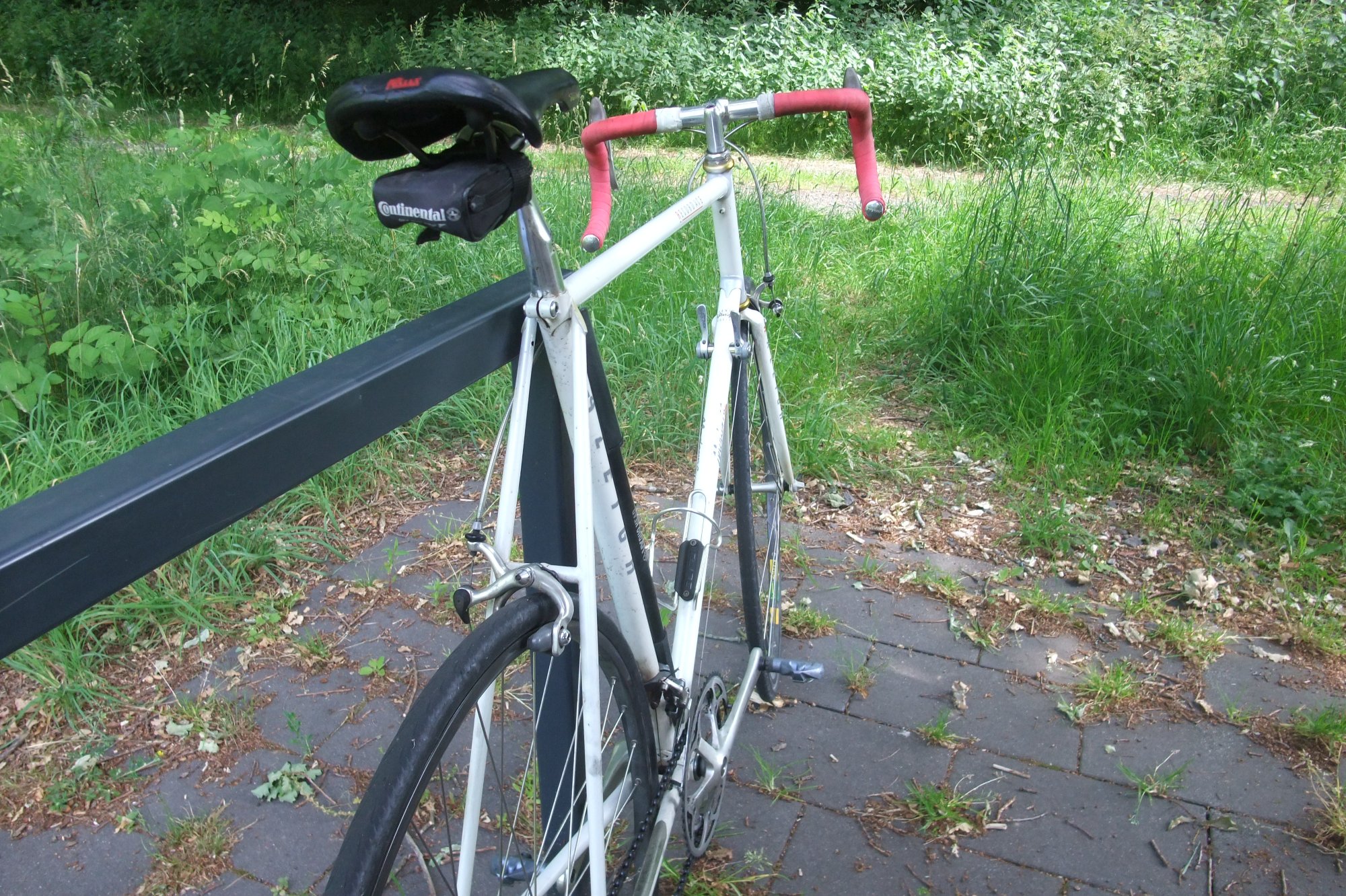 DSCF7320.JPG