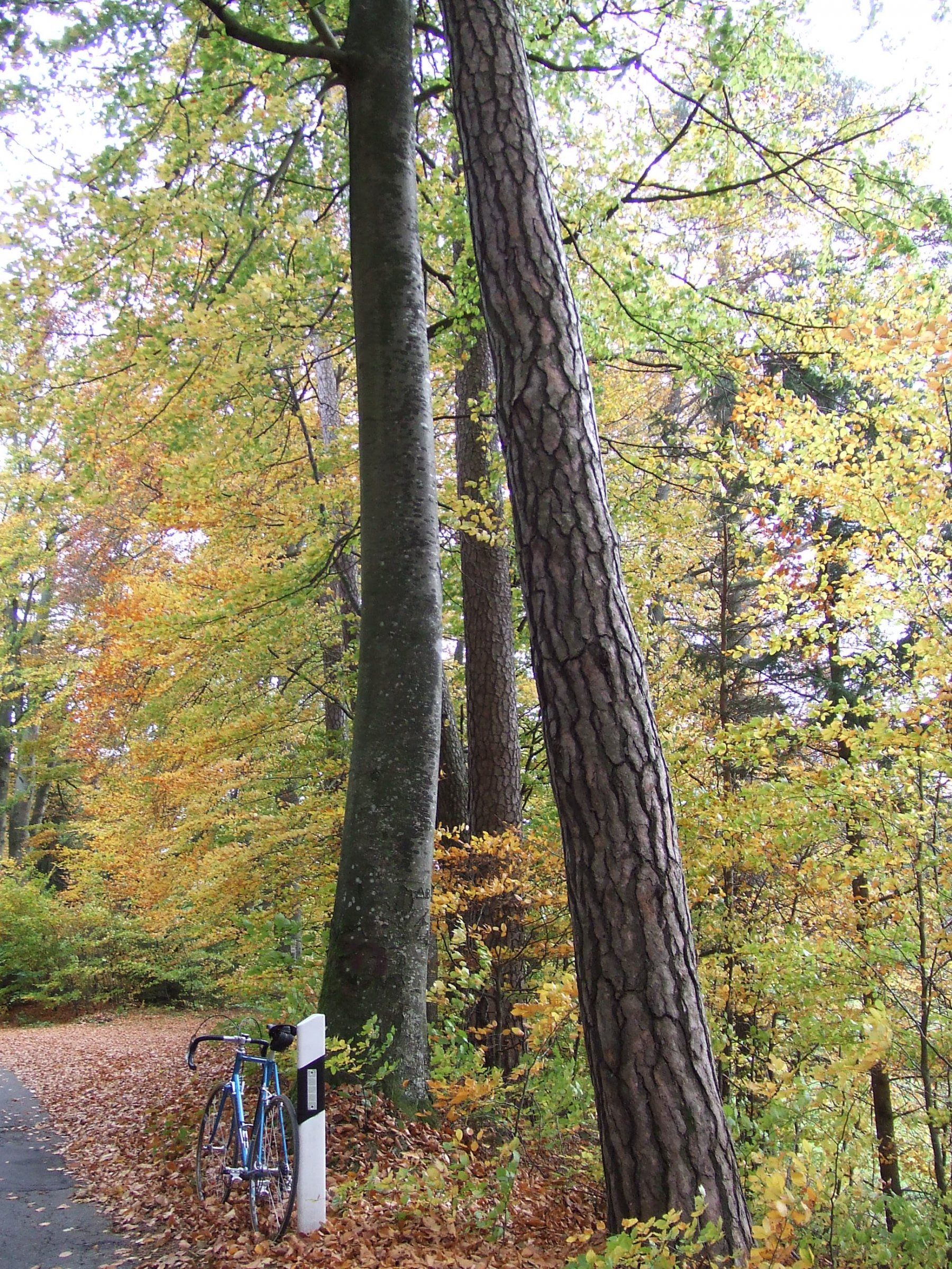 DSCF7363.JPG