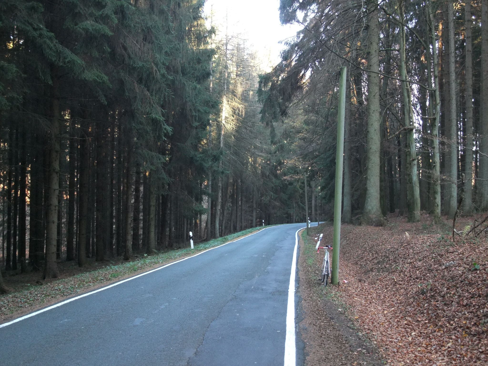 DSCF7384.JPG