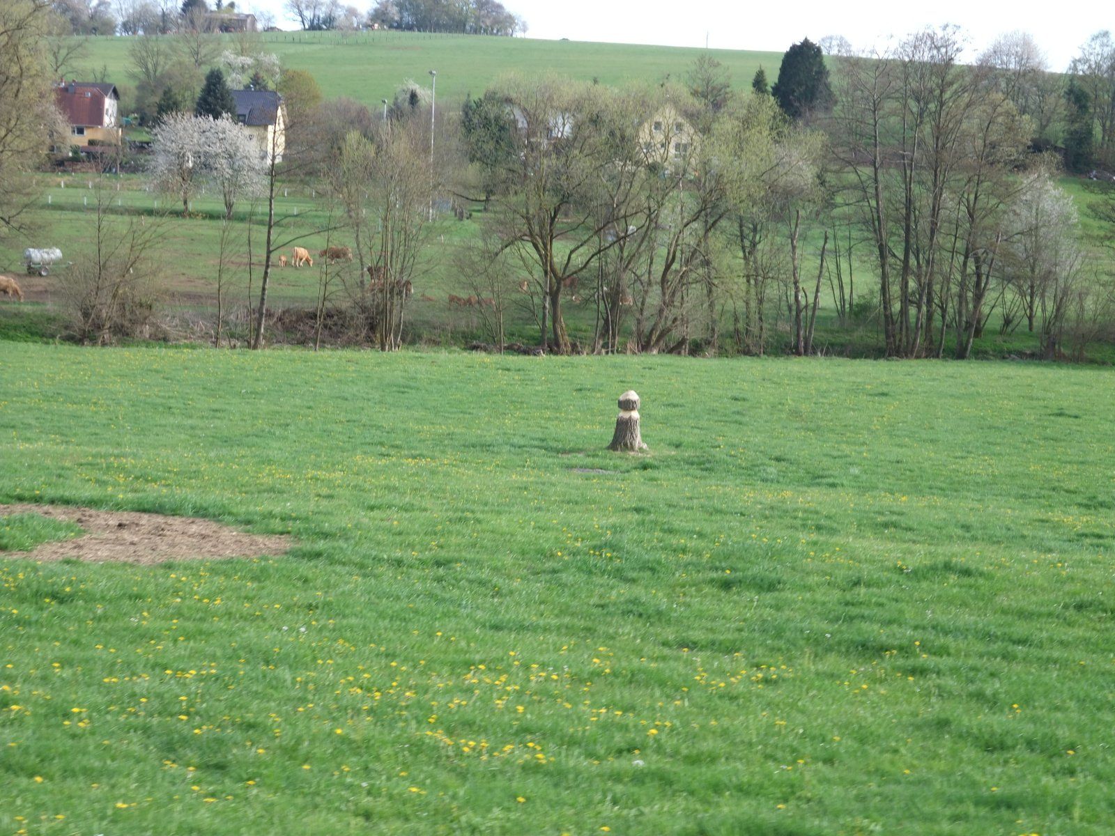 DSCF7392.JPG