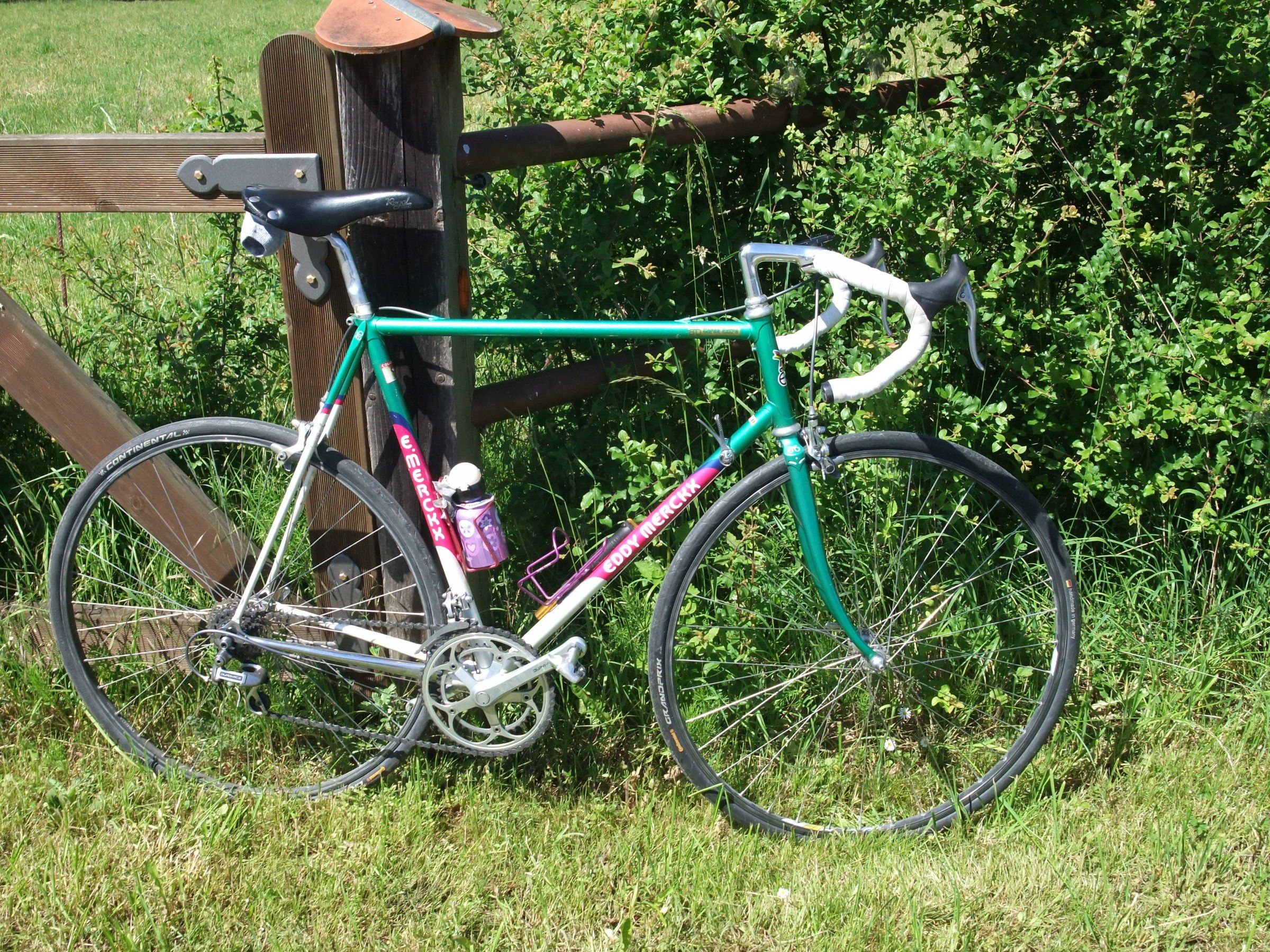 DSCF7399.JPG