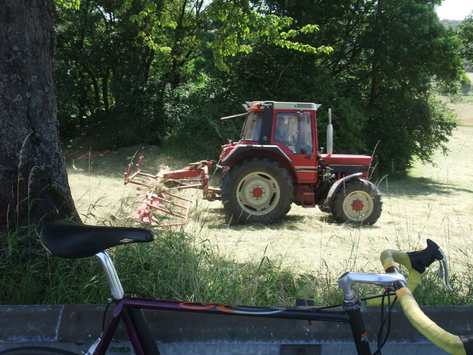 DSCF7419.JPG