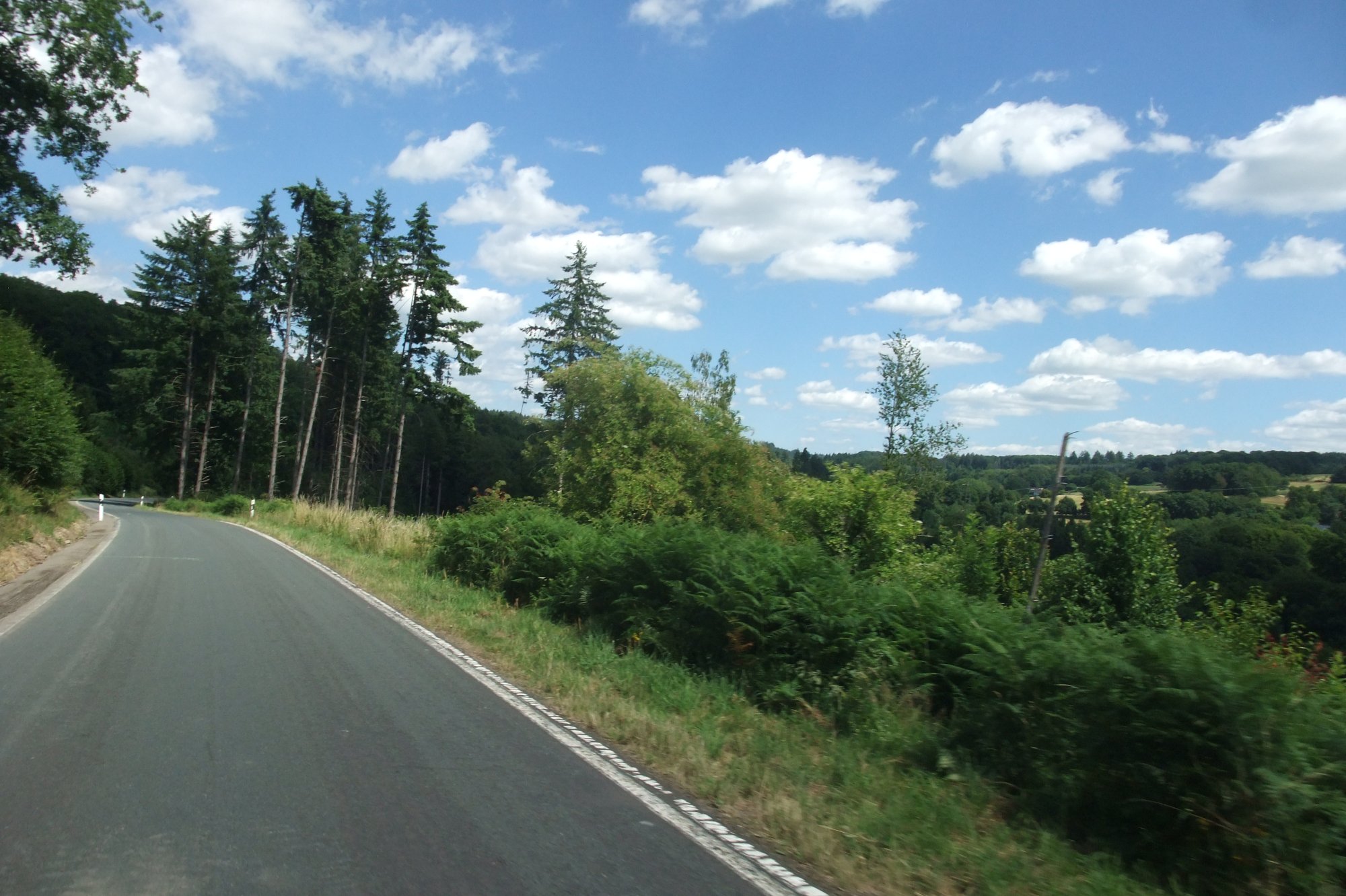 DSCF7461.JPG