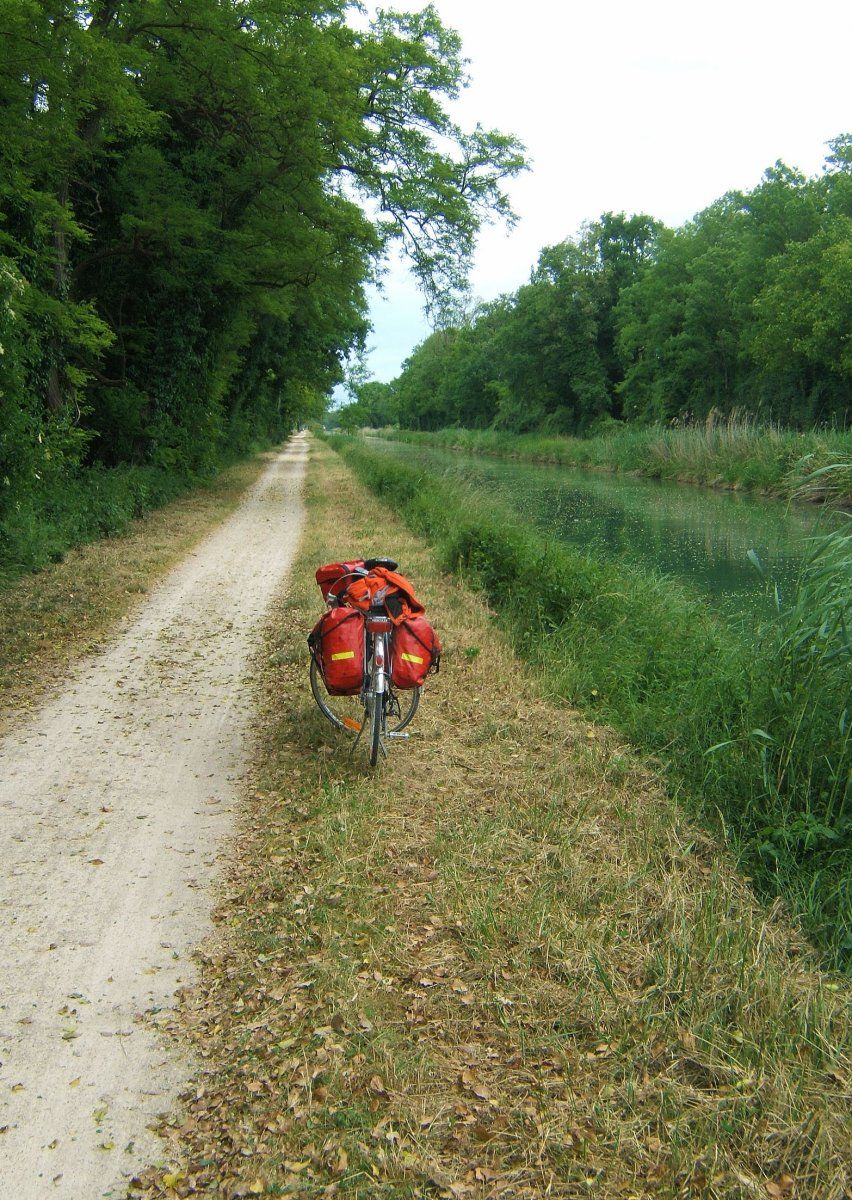 DSCF7466.jpg