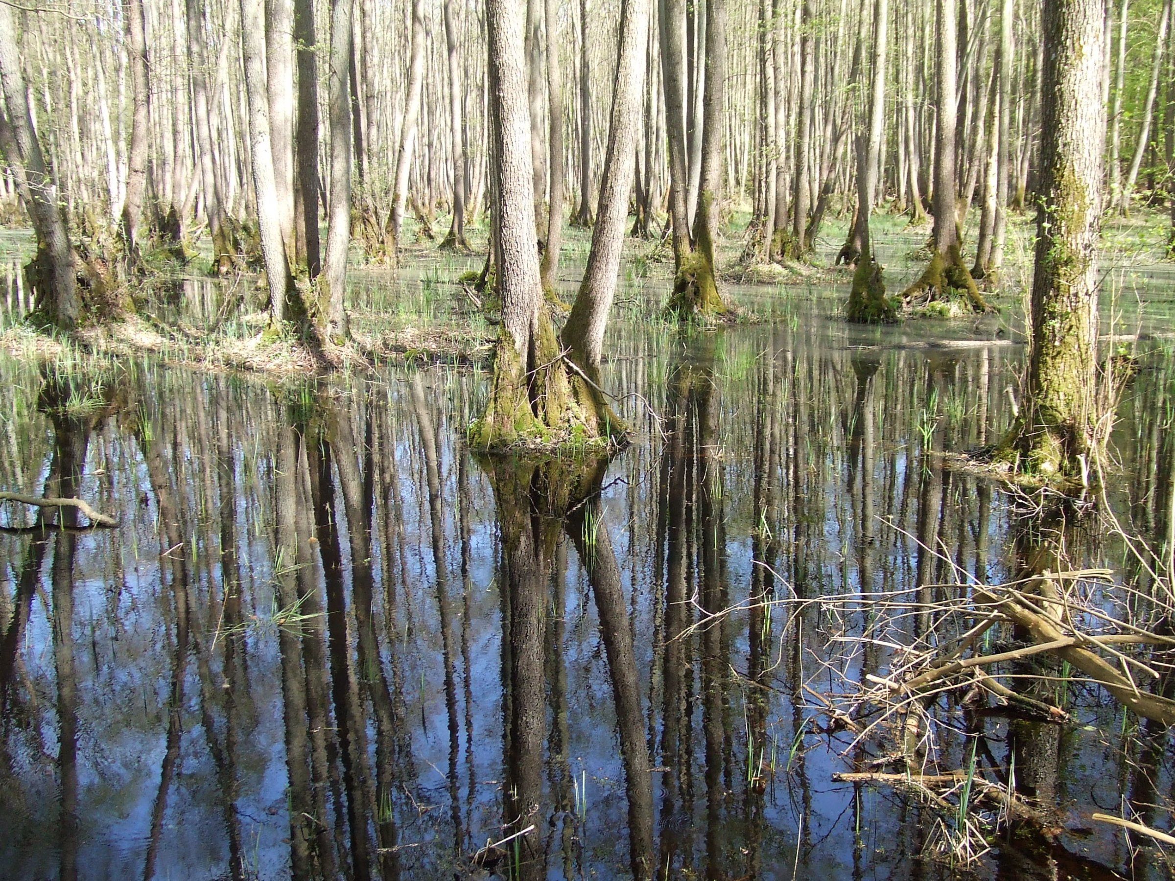 DSCF7581.JPG