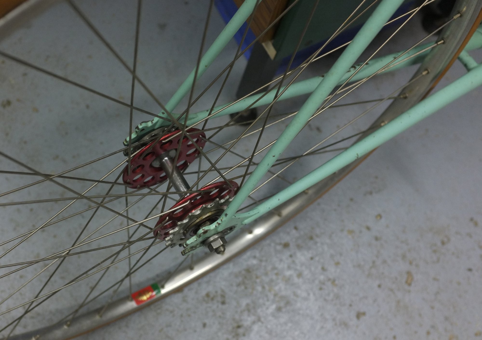 DSCF7716.JPG