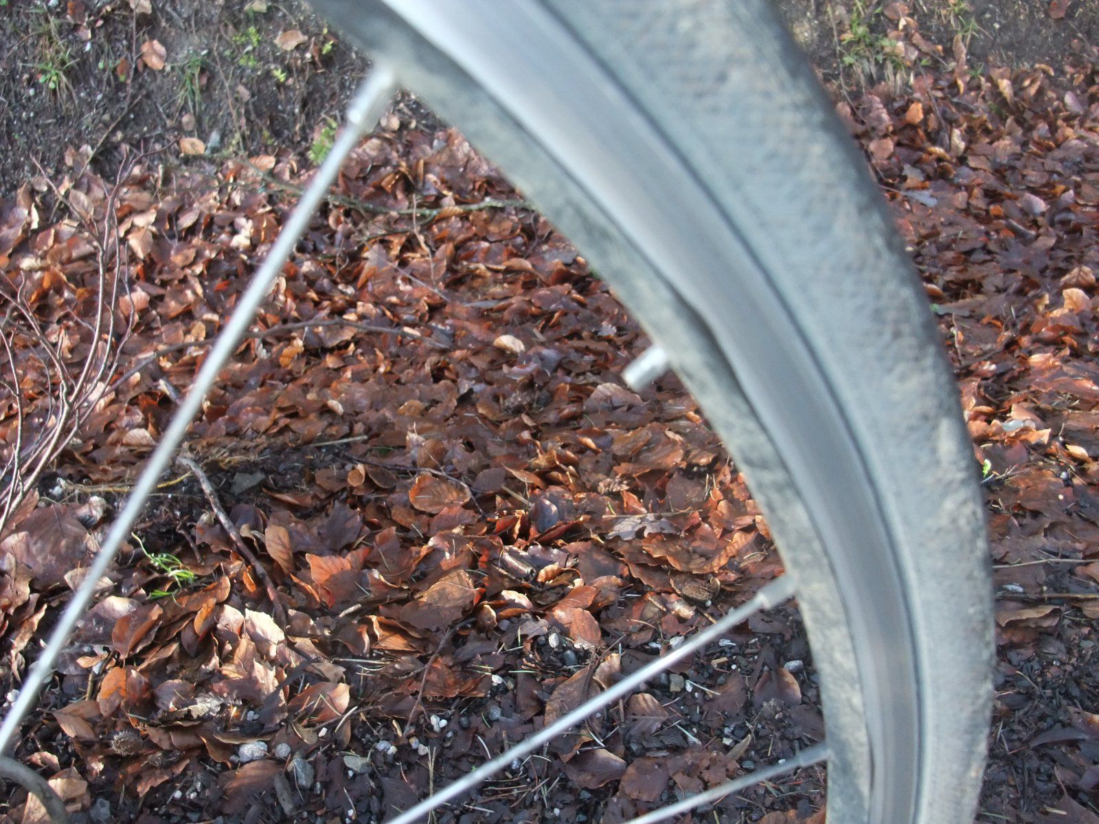 DSCF7719.JPG