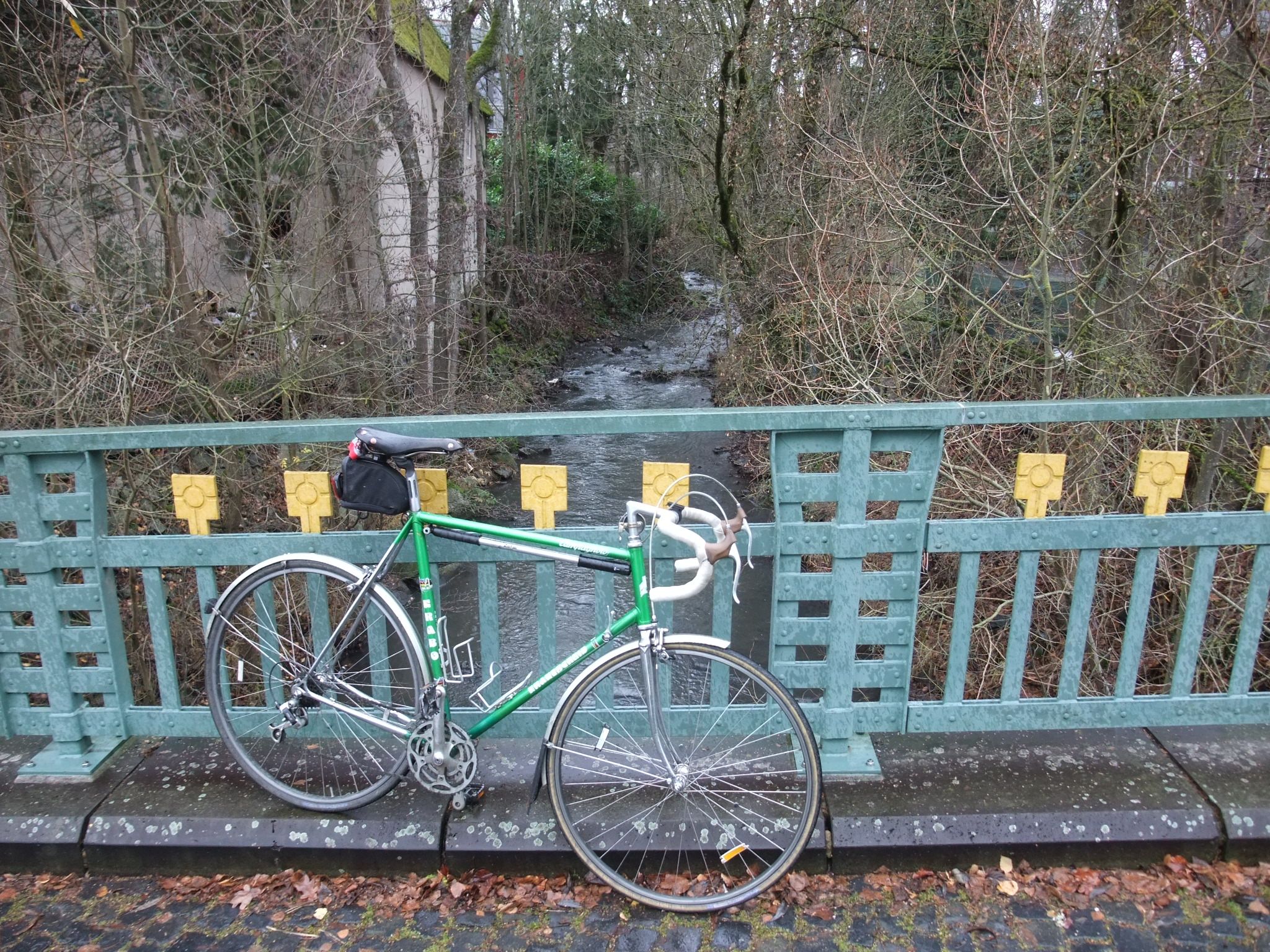 DSCF7747.JPG