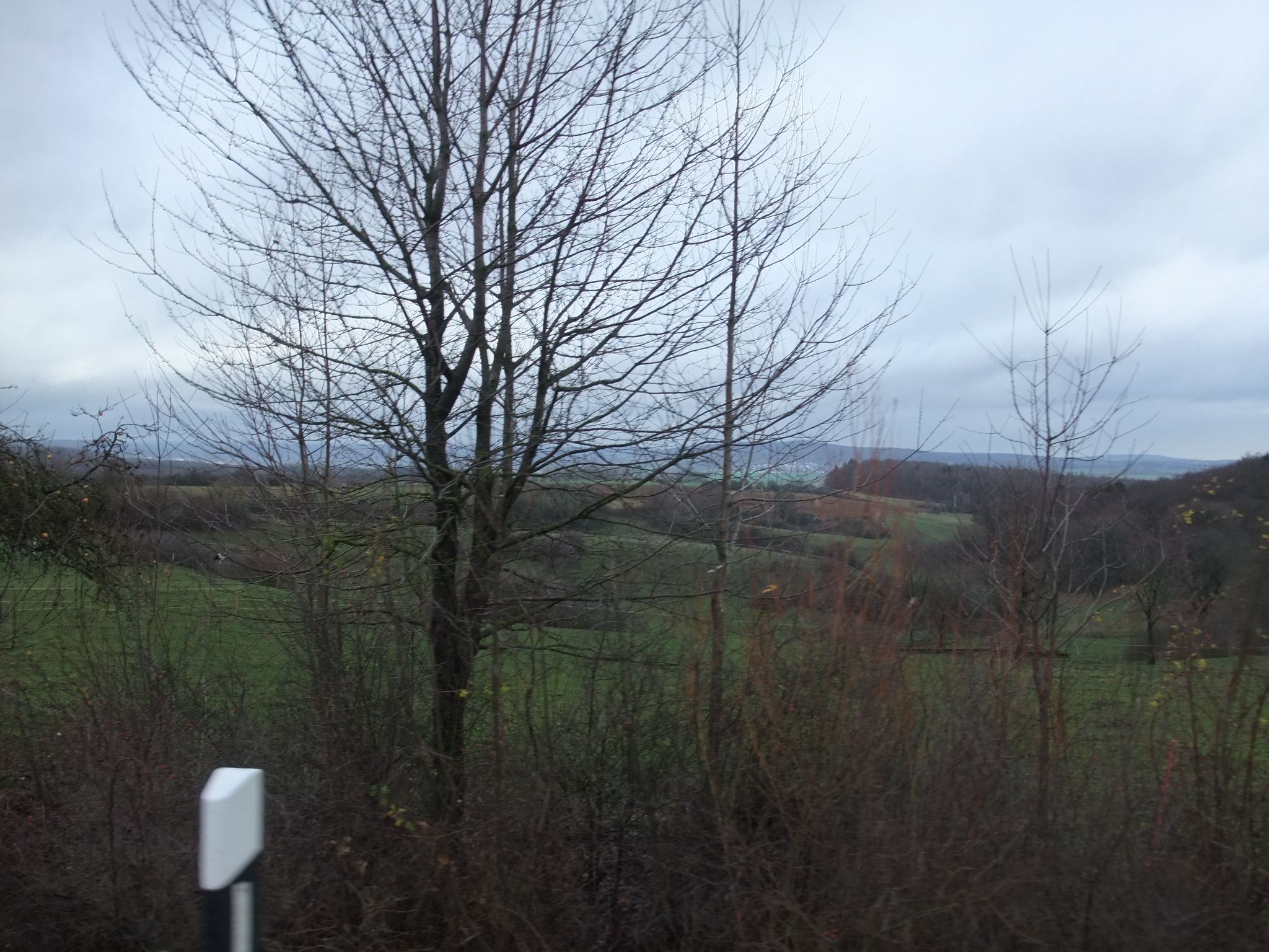 DSCF7835.JPG