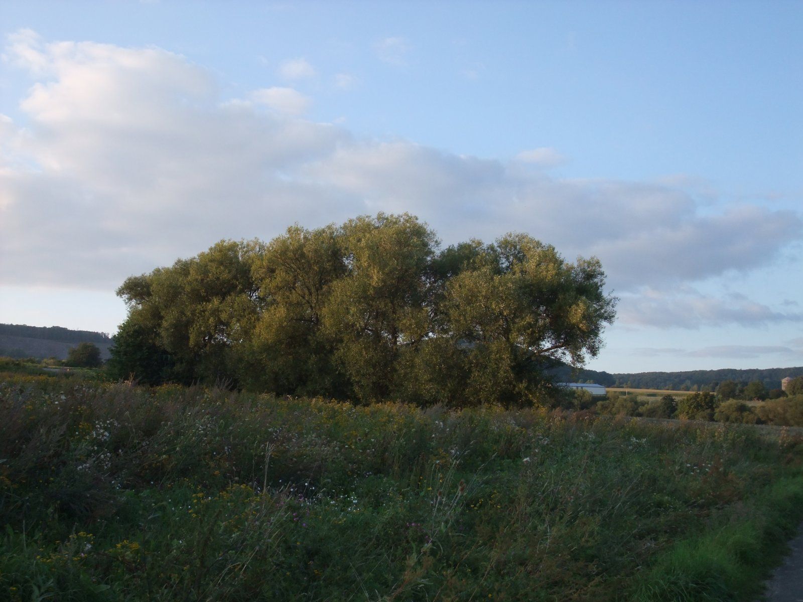 DSCF7838.JPG