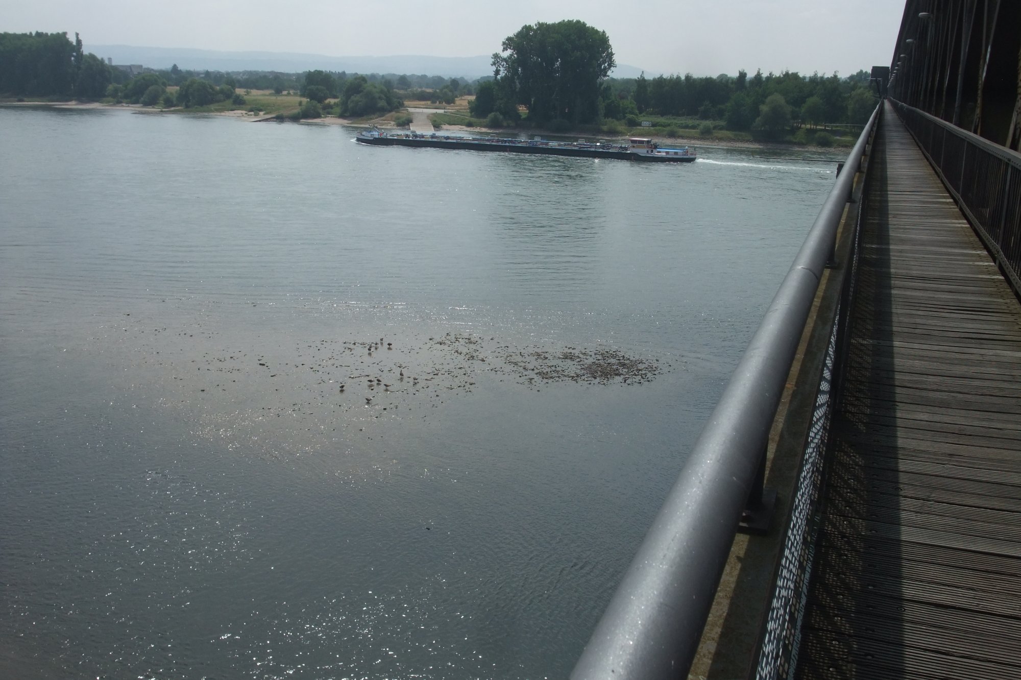 DSCF7927.JPG
