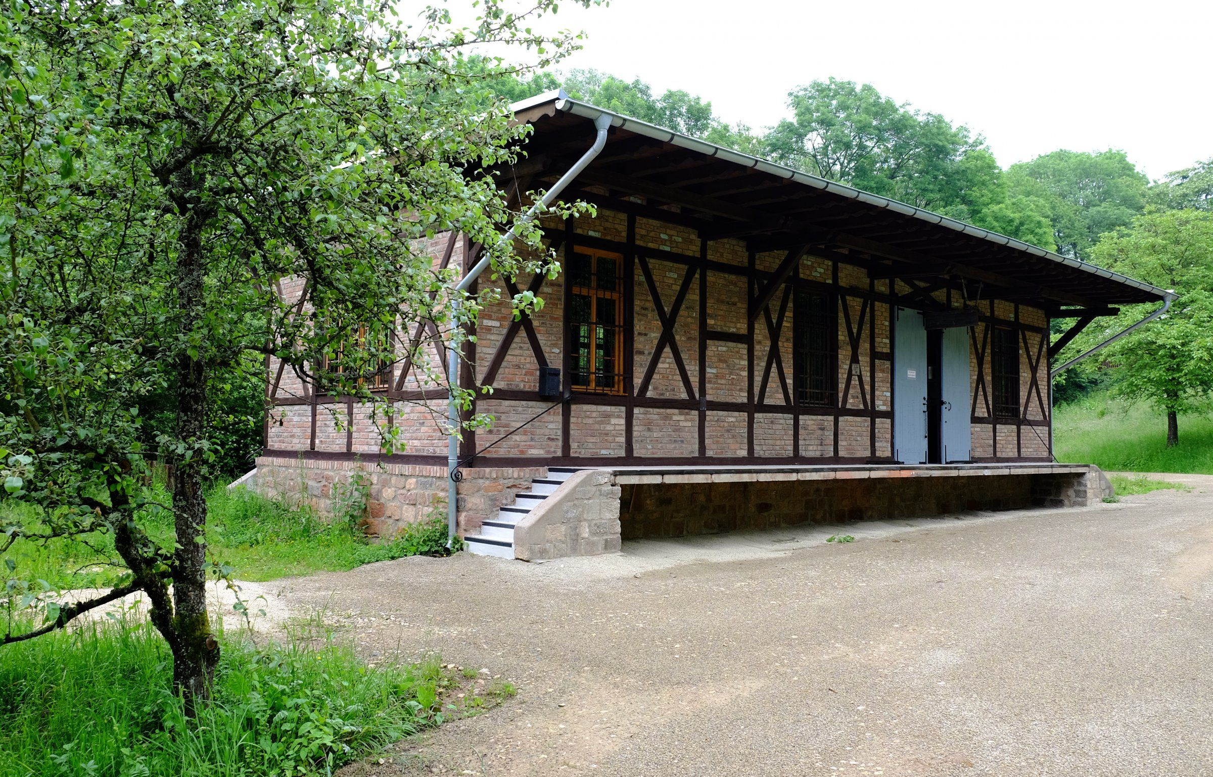 DSCF7946.JPG