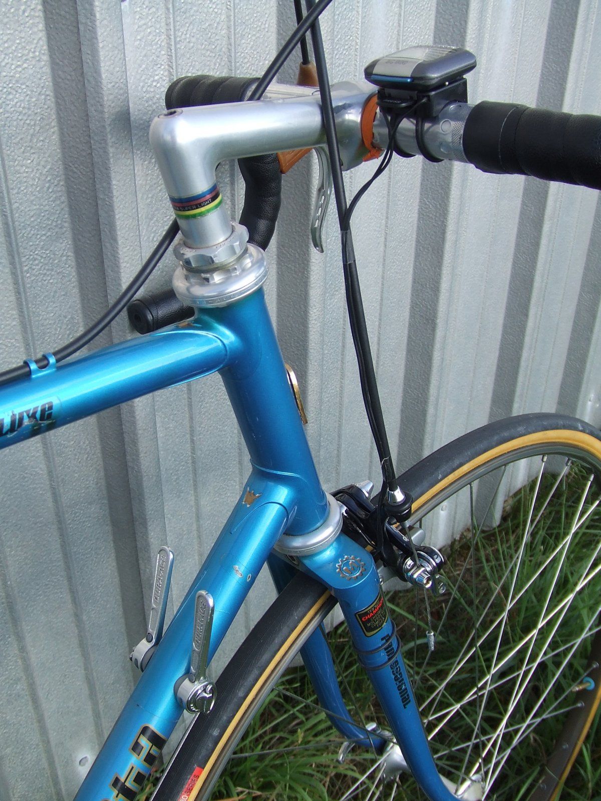 DSCF7969.JPG