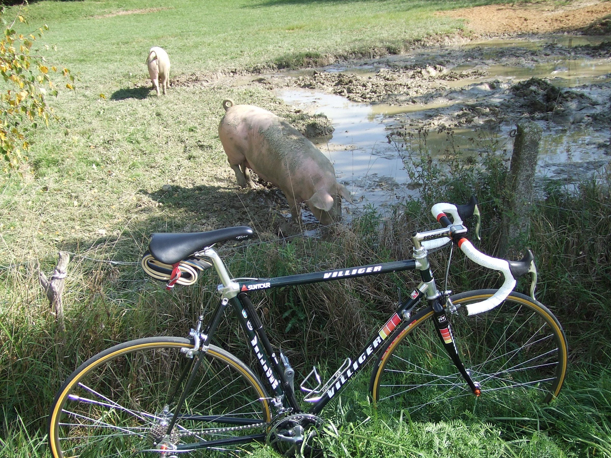 DSCF7976.JPG