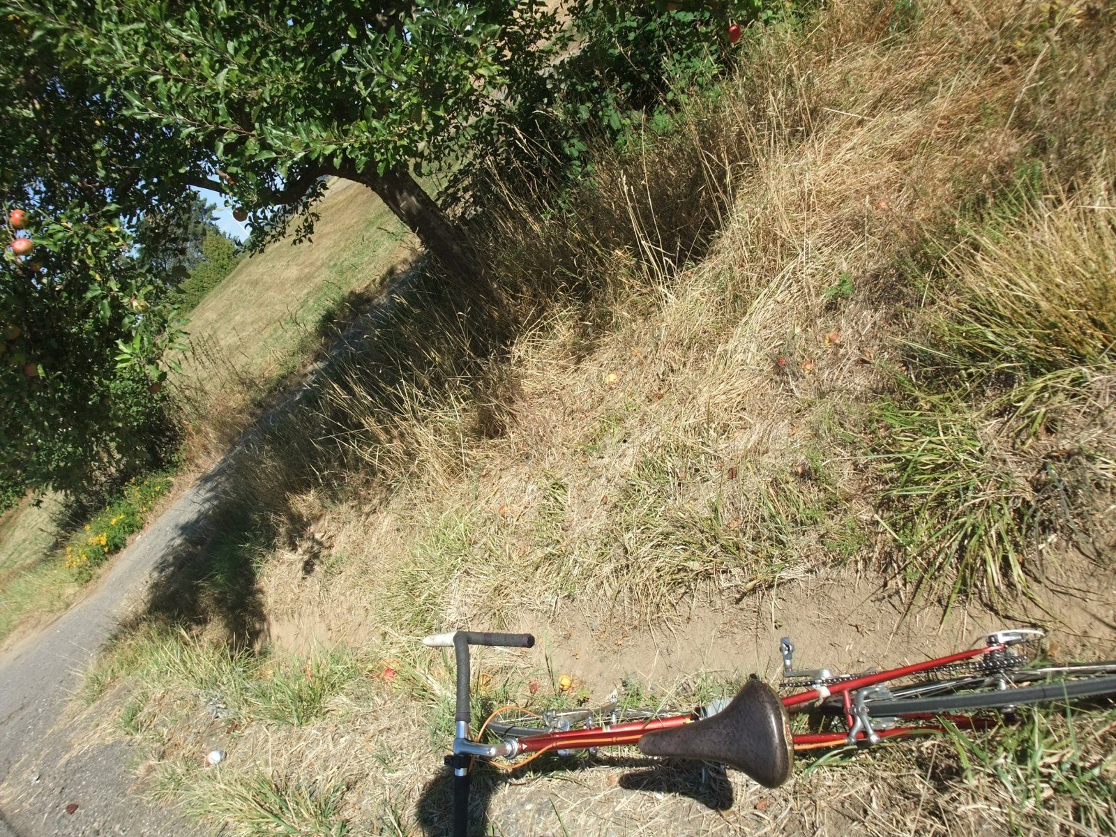 DSCF7998.JPG