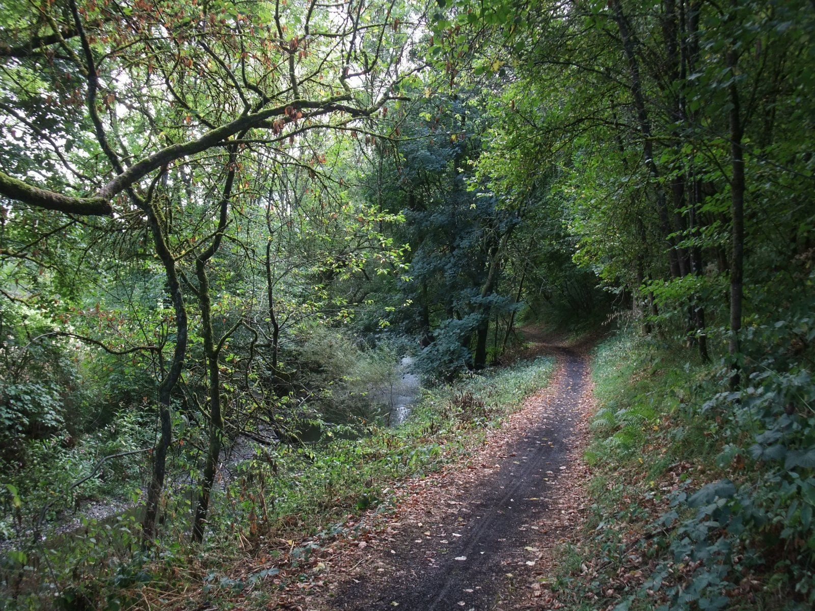 DSCF8071.JPG