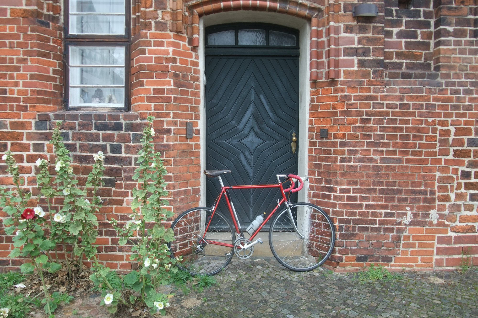 DSCF8232.JPG