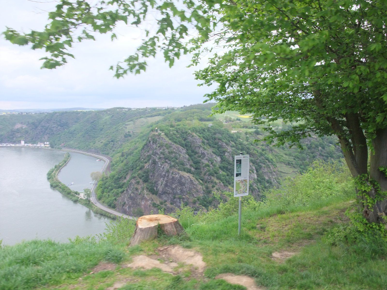 DSCF8251.JPG